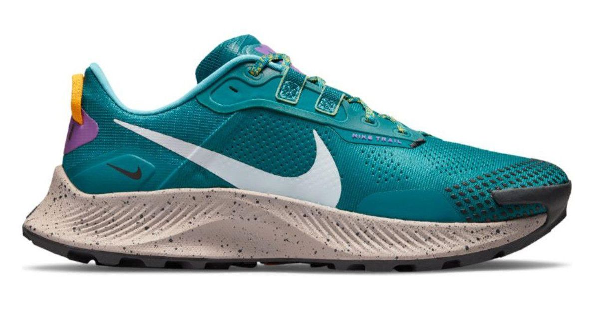 Nike Pegasus Trail 3