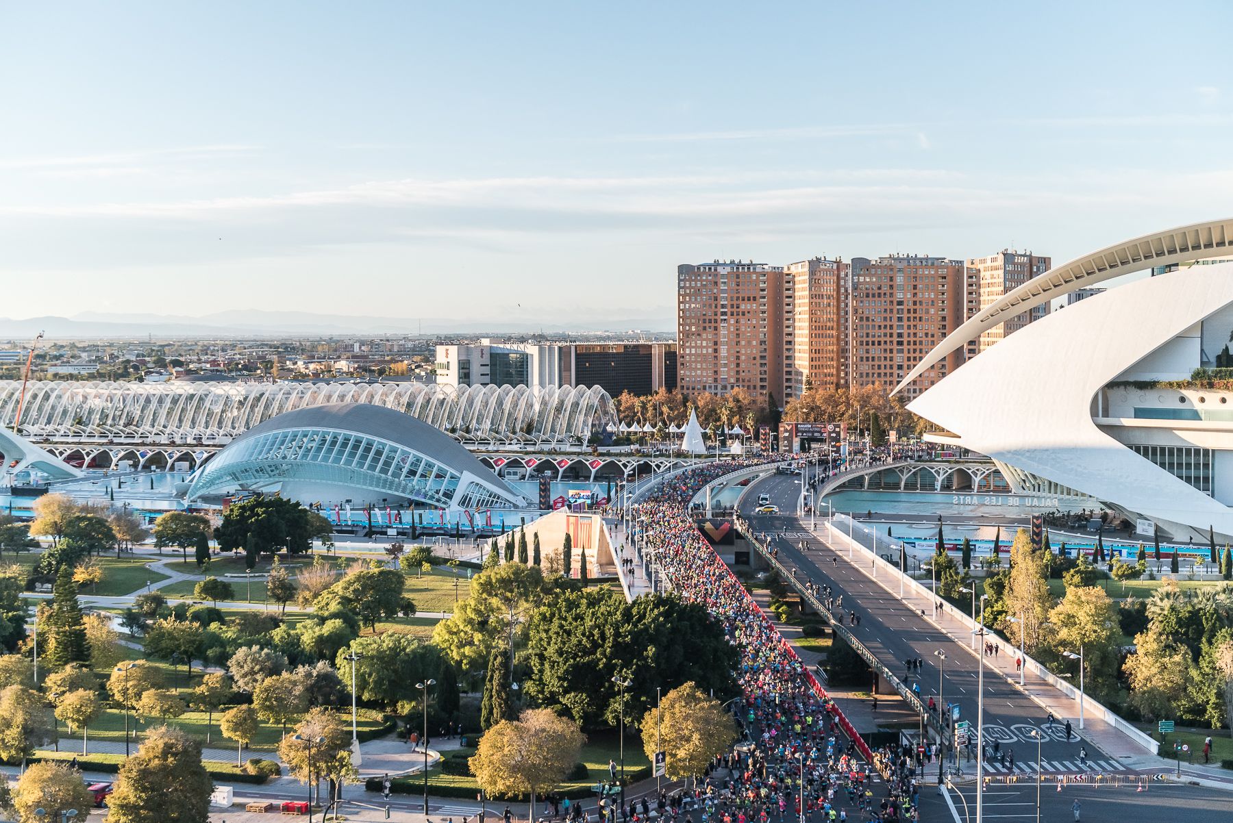 Una imagen de la salida del Maratón de Valencia Trinidad Alfonso 2021. ORGANIZACIÓN.