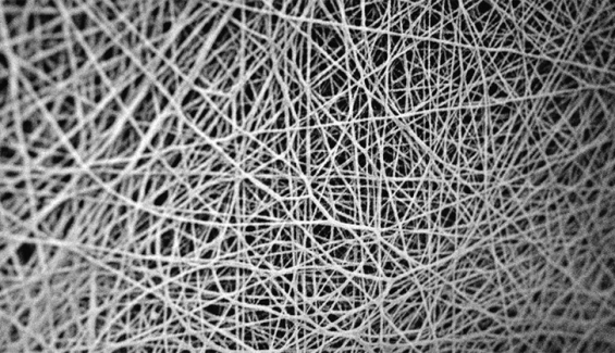 Futurelight al microscopio Futurelight al microscopio
