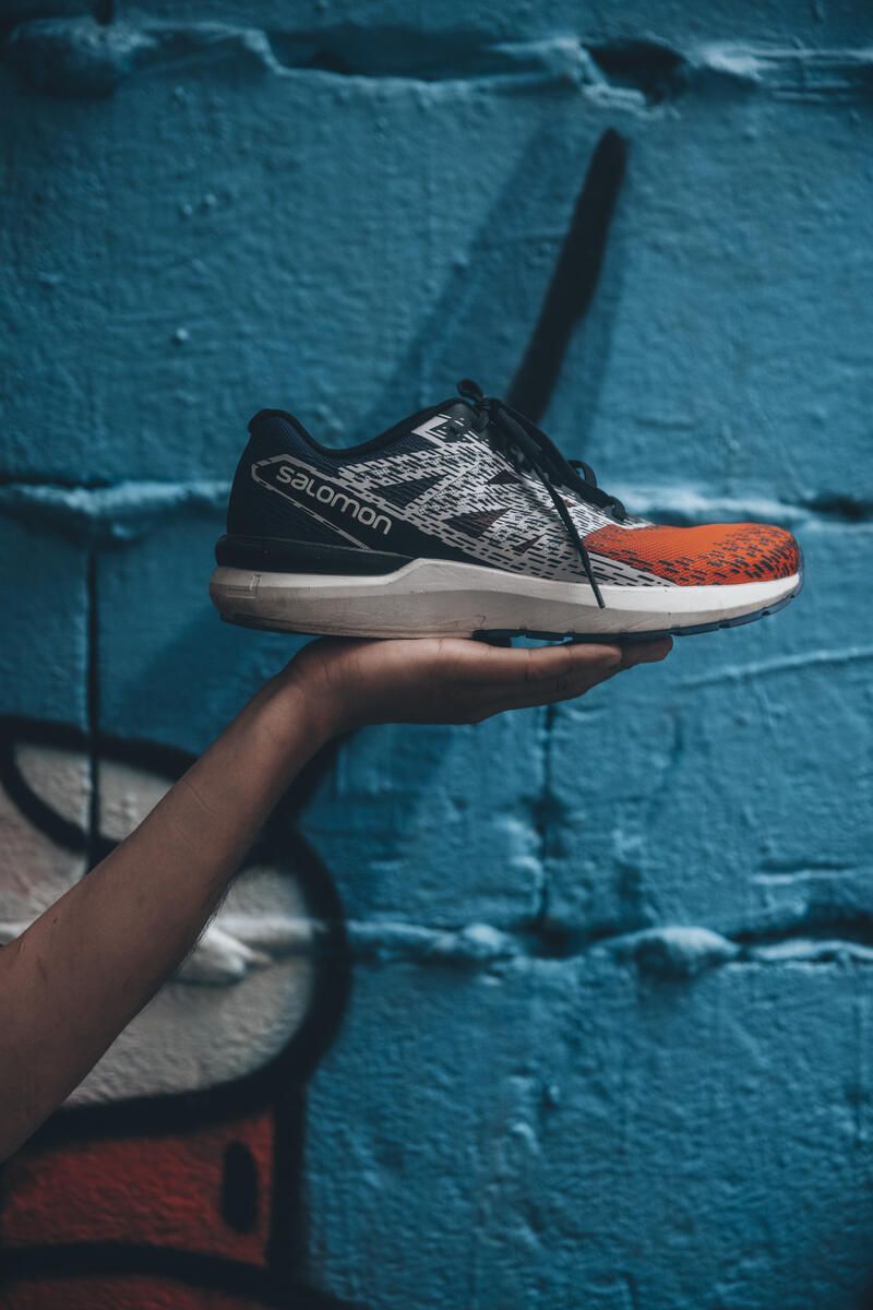 salomon 2