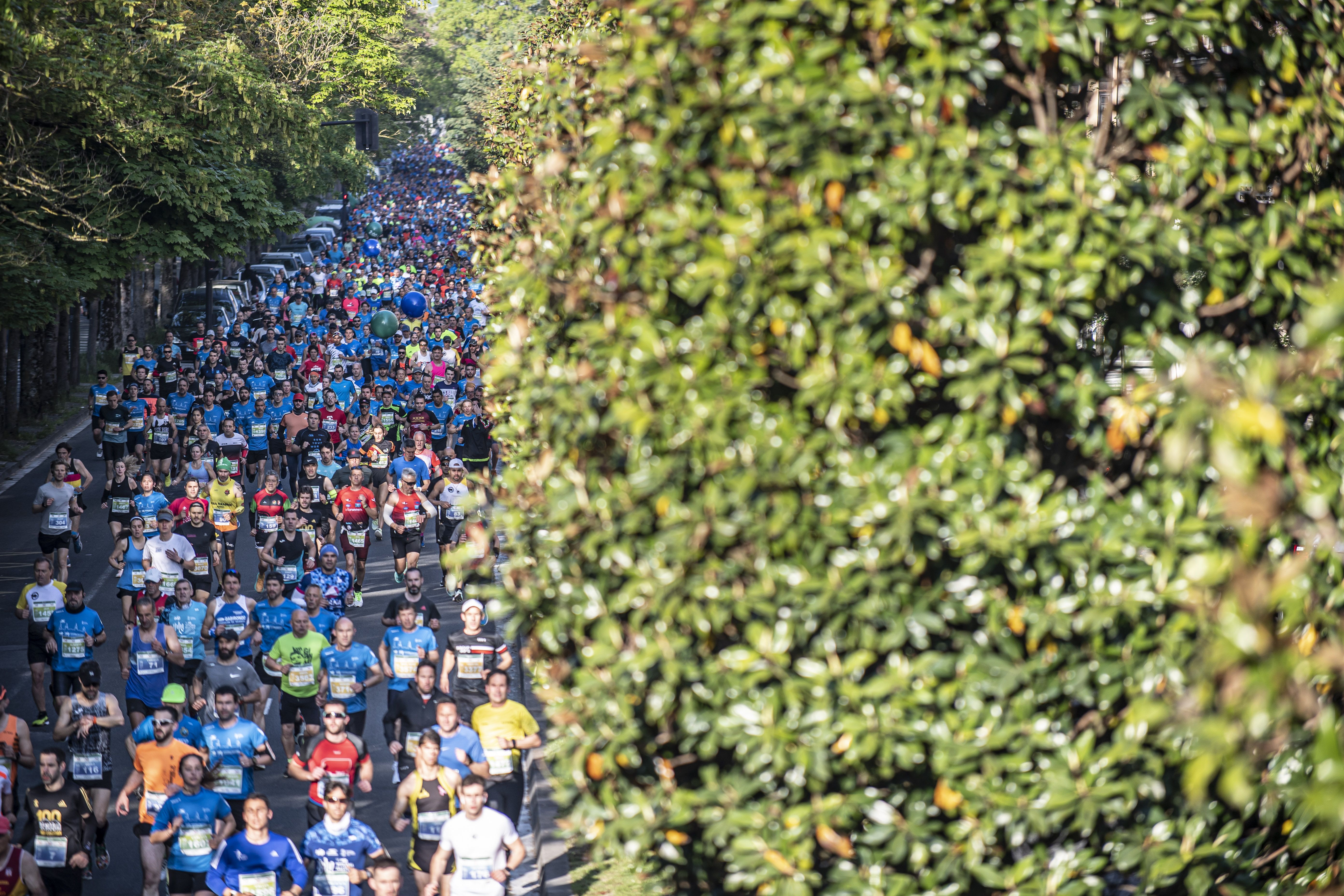 Las mejores fotos del TotalEnergies Maratón Vitoria Gasteiz Martín Fiz D510704