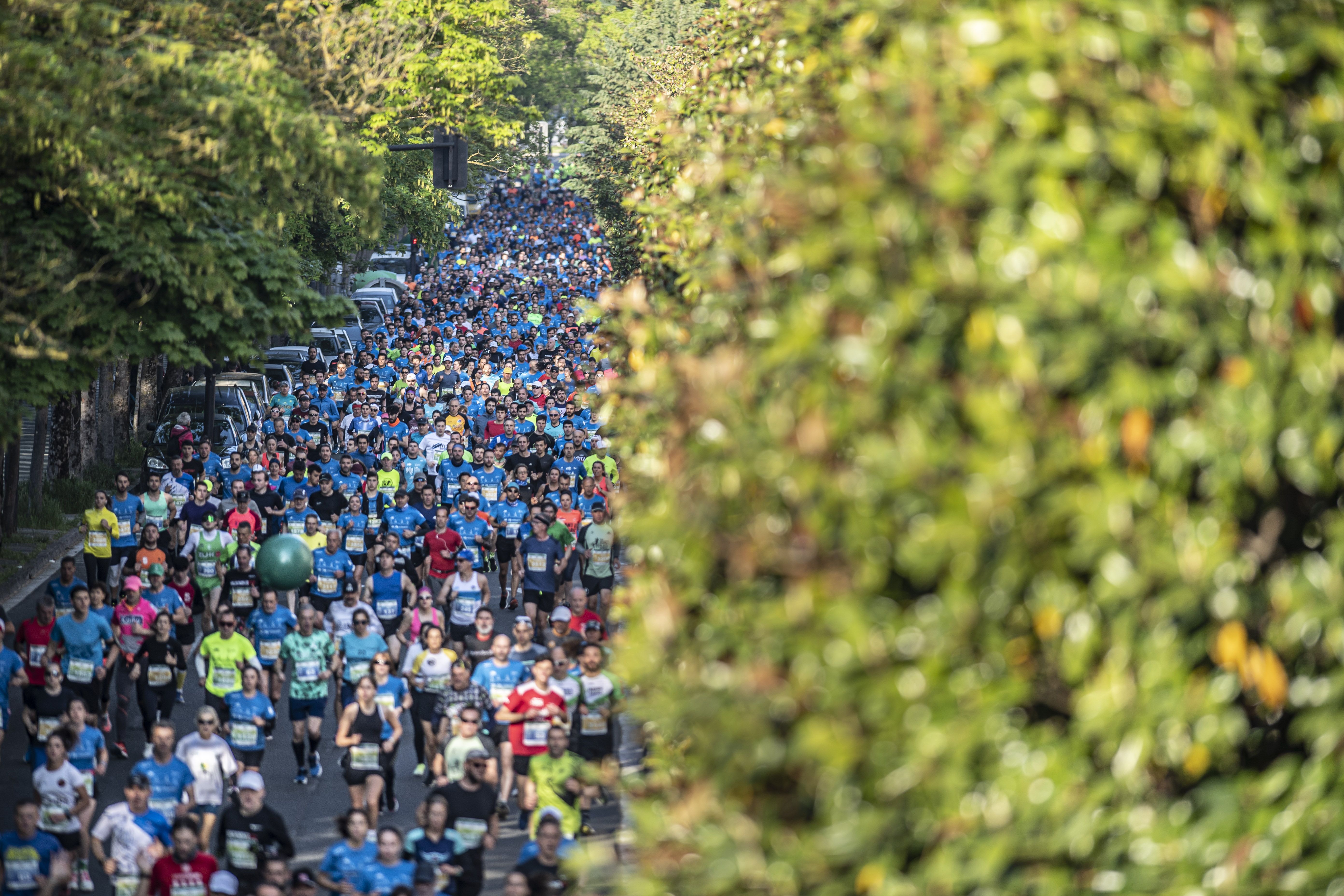 Las mejores fotos del TotalEnergies Maratón Vitoria Gasteiz Martín Fiz D510732