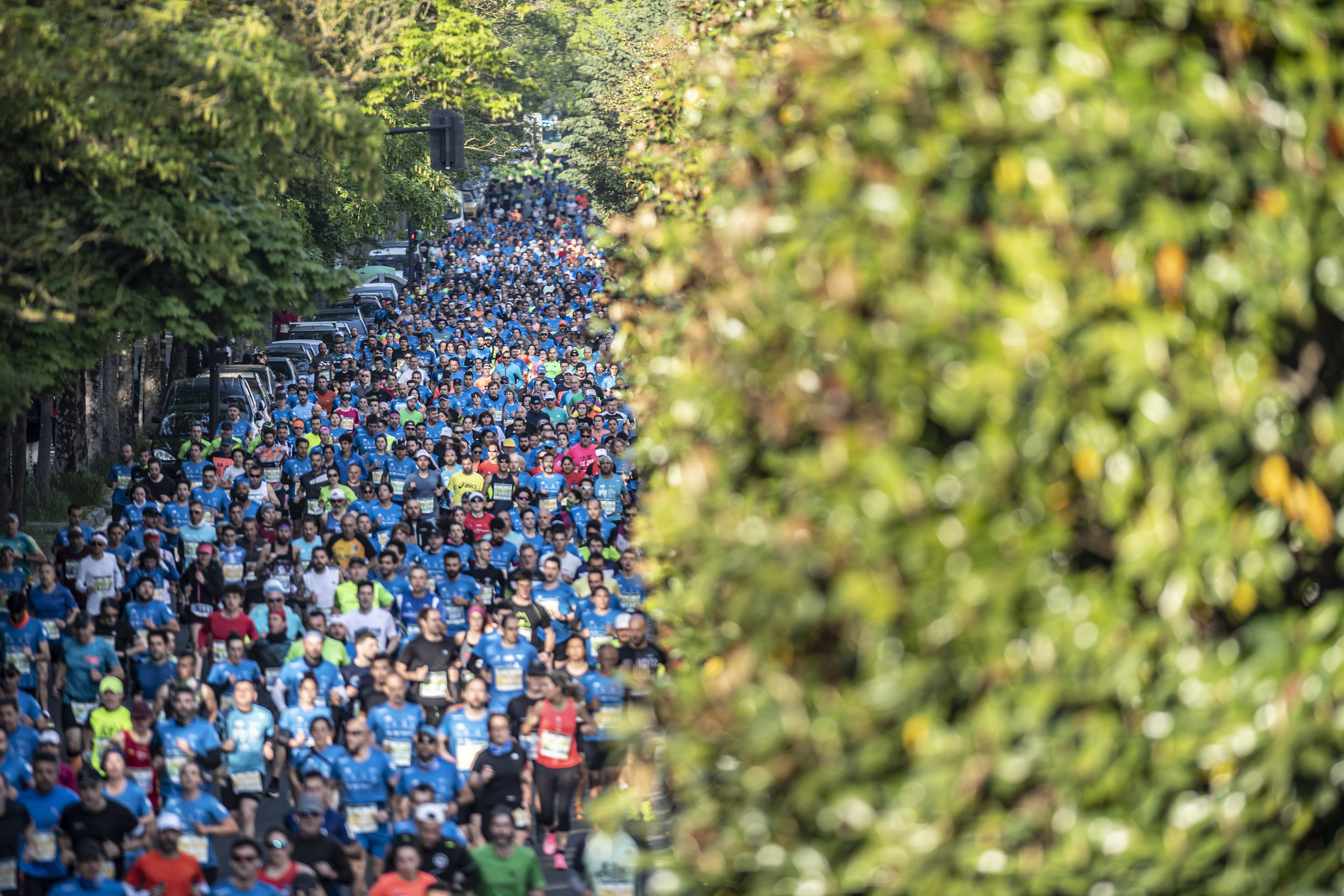 Las mejores fotos del TotalEnergies Maratón Vitoria Gasteiz Martín Fiz D510741