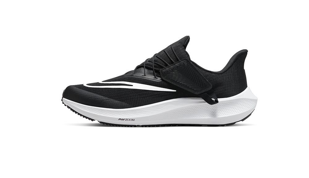 pegasus 39 FLYEASE