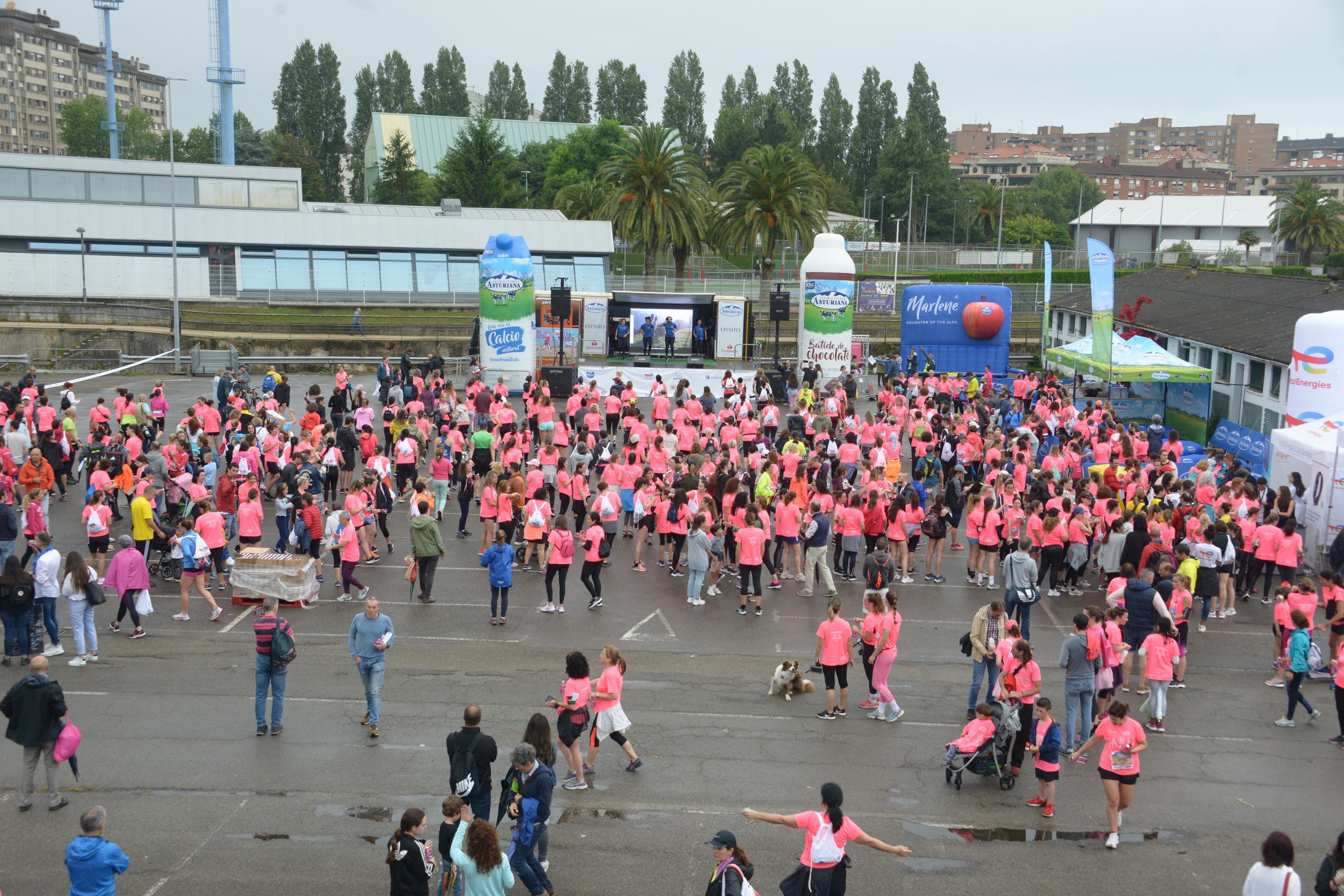 00859GIJON
