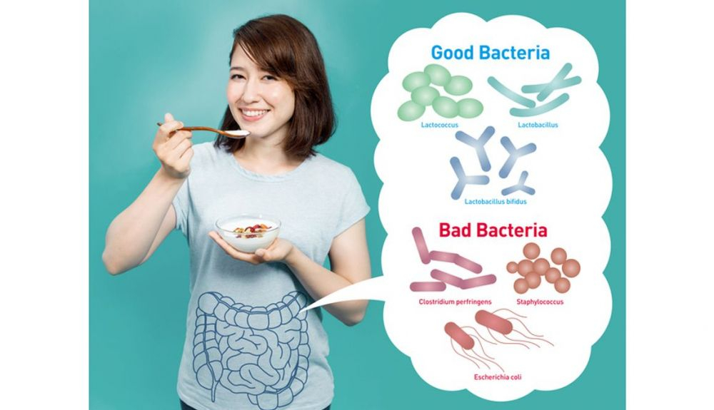 La microbiota intestinal y el rendimiento deportivo La microbiota intestinal y el rendimiento deportivo