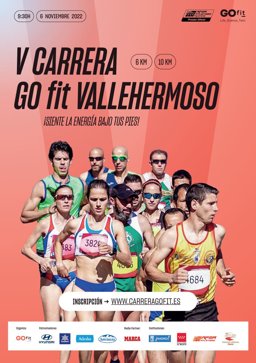 Cartel de la V Carrera GO fit Vallehermoso.