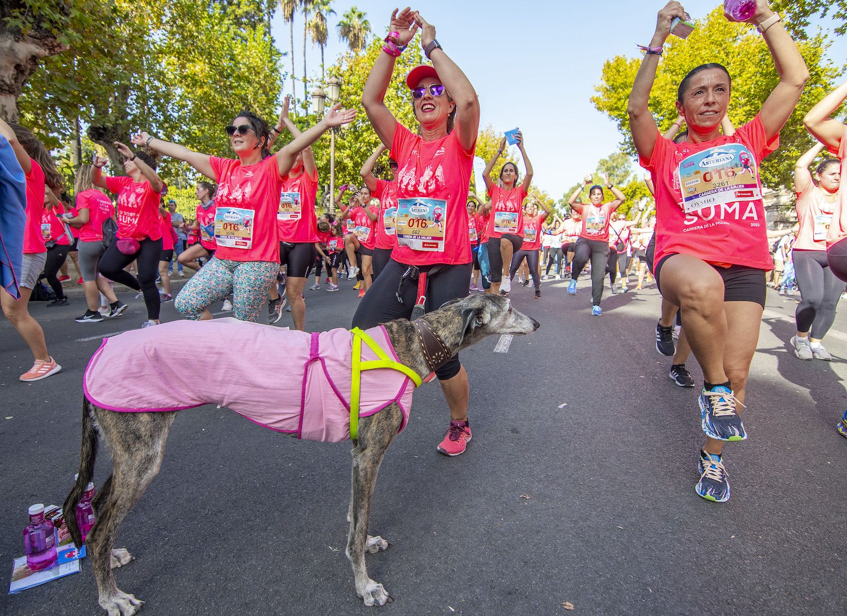 20221009 JJUBEDA Carrera Mujer Sevilla 277