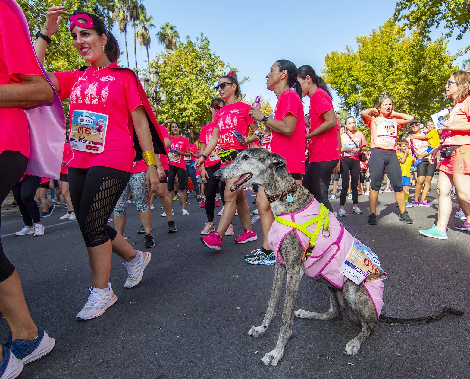 20221009 JJUBEDA Carrera Mujer Sevilla 279