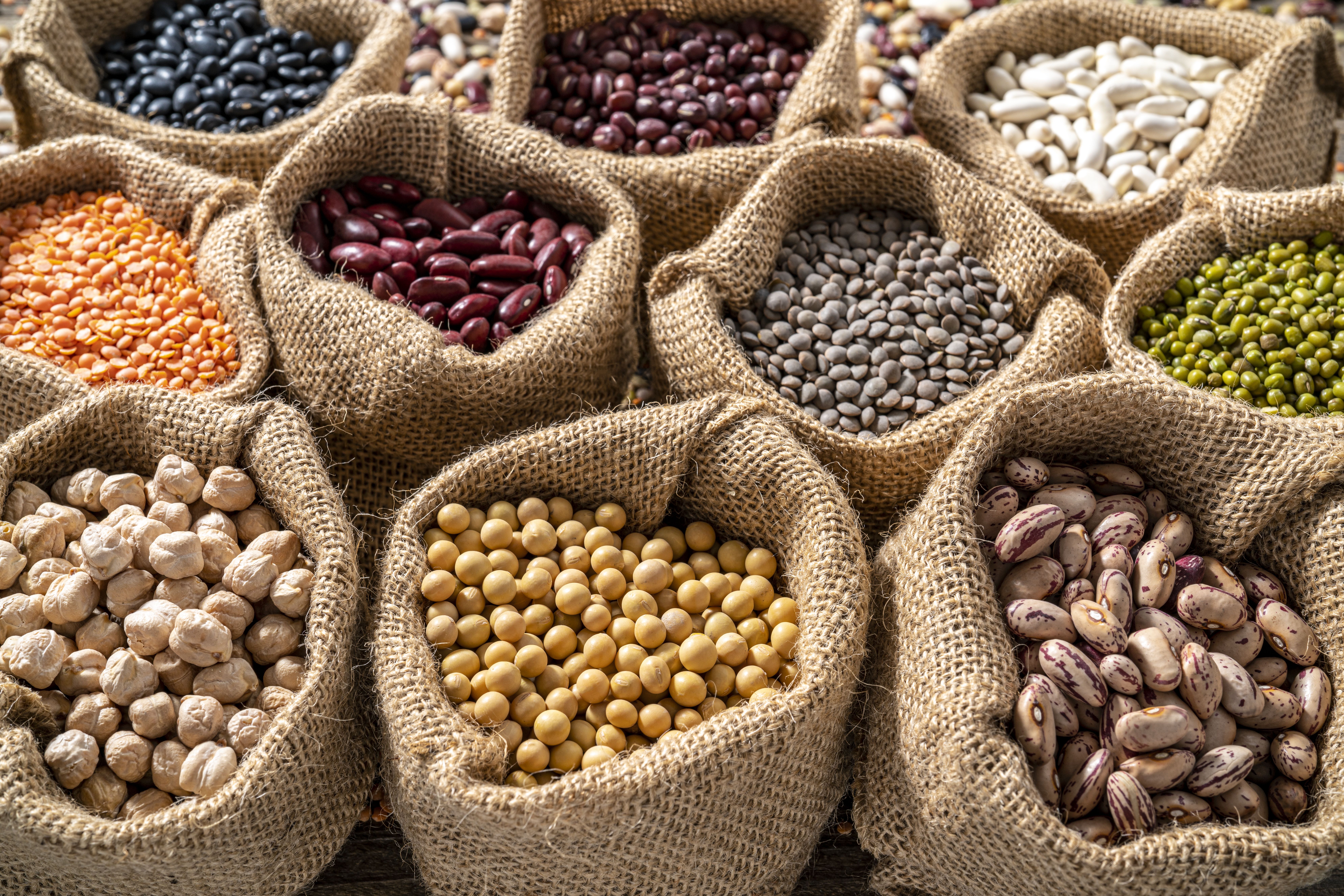 Las nutritivas semillas de la planta leguminosa Phaseolus vulgaris son una maravilla de nuestra despensa. iStock
