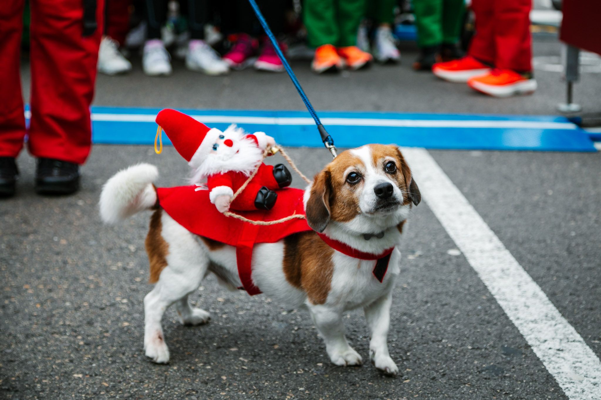 Las 50 mejores fotos de la Carrera de Papá Noel El Corte Inglés 2022. (10)