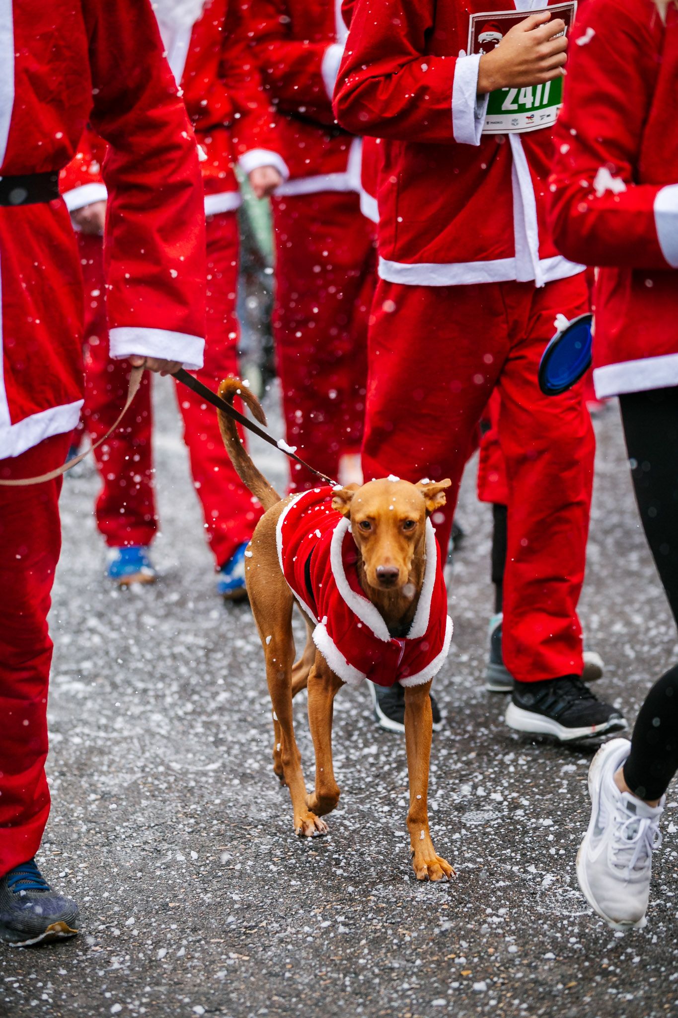Las mejores fotos de la salida de la Carrera de Papá Noel El Corte Inglés 2022.
