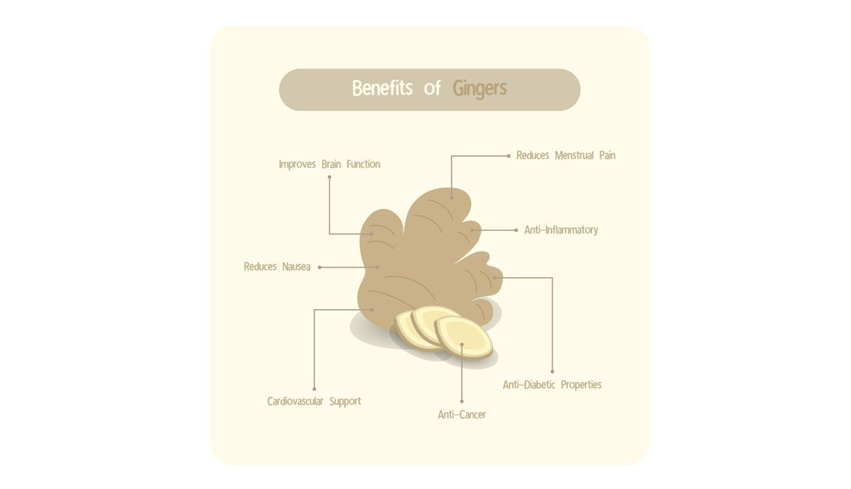 Infografía con los beneficios del jengibre Infografía con los beneficios del jengibre