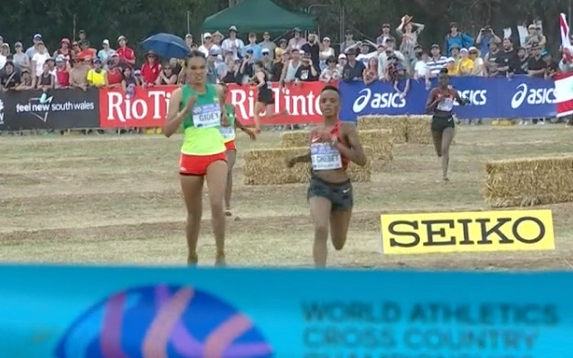 Gidey a punto de colapsar con Beatrice Chebet a su altura.