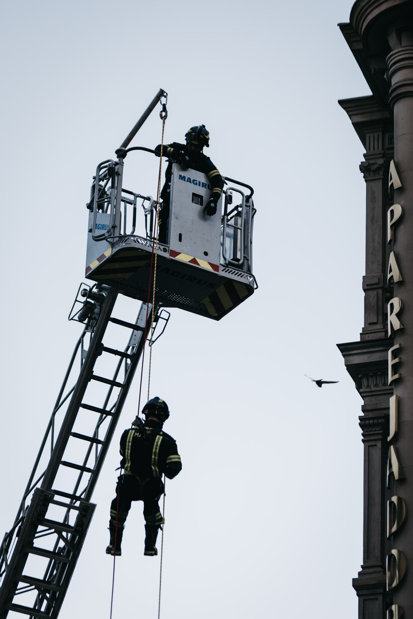 Todas las fotos de la salida de la Carrera Bomberos de Madrid 2023 40