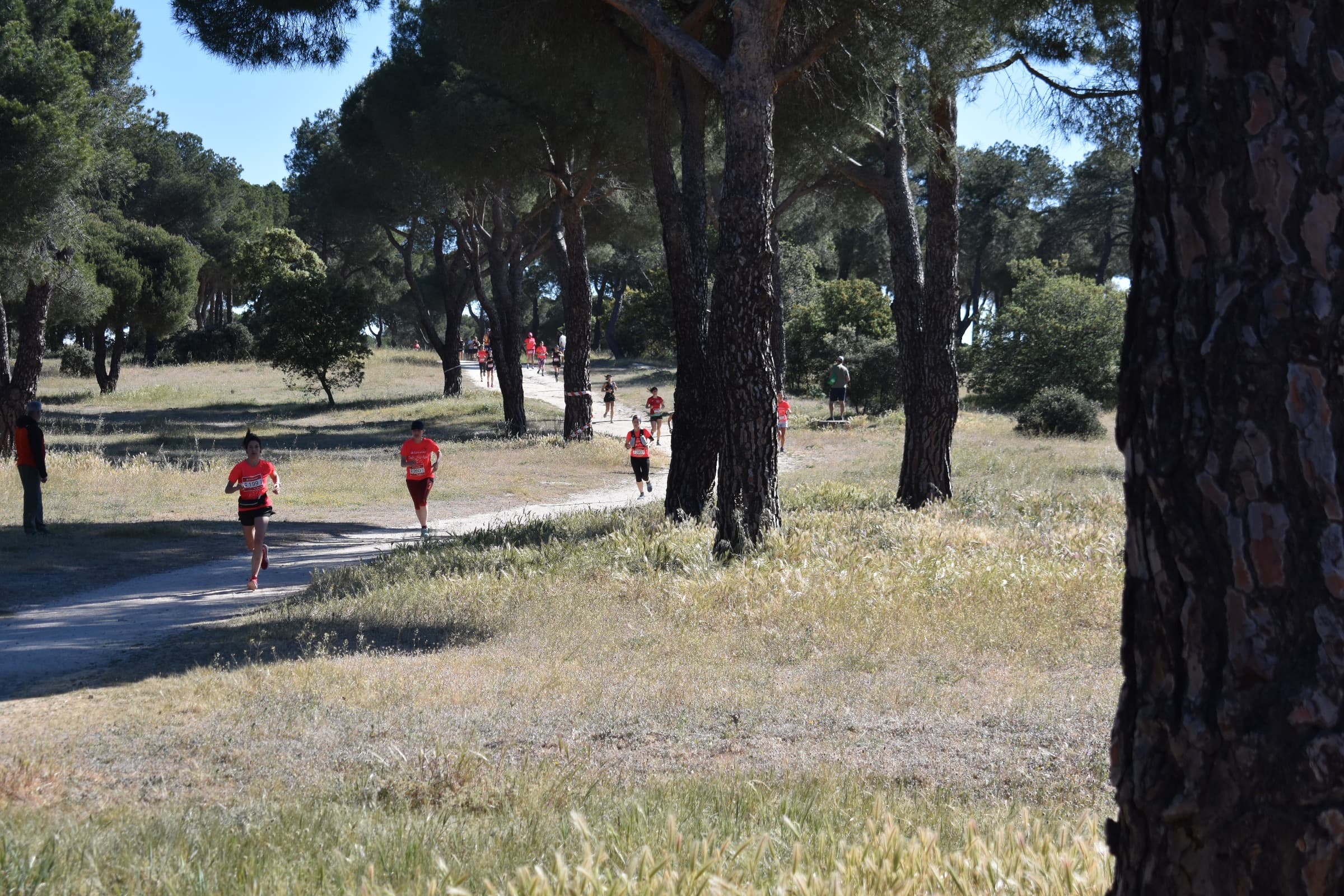 Todas las fotos del Trail de la Mujer 2023. 0232