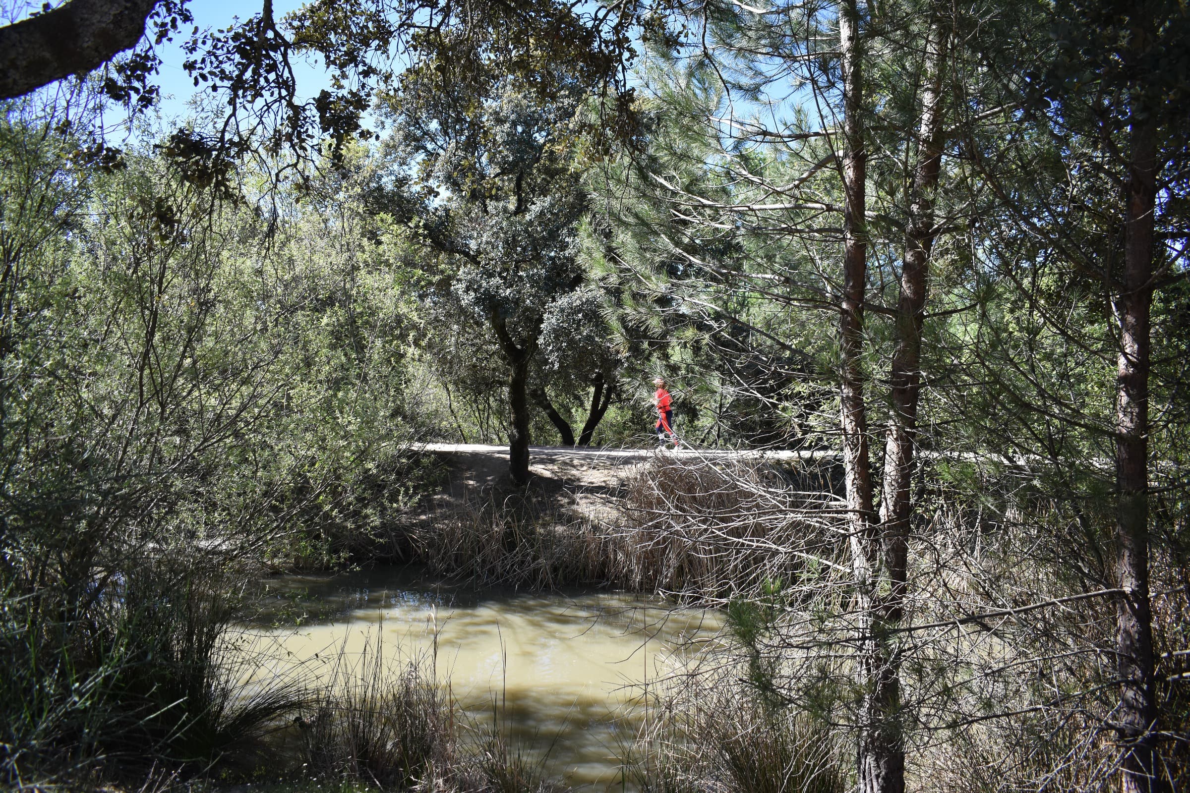 Todas las fotos del Trail de la Mujer 2023. 0390
