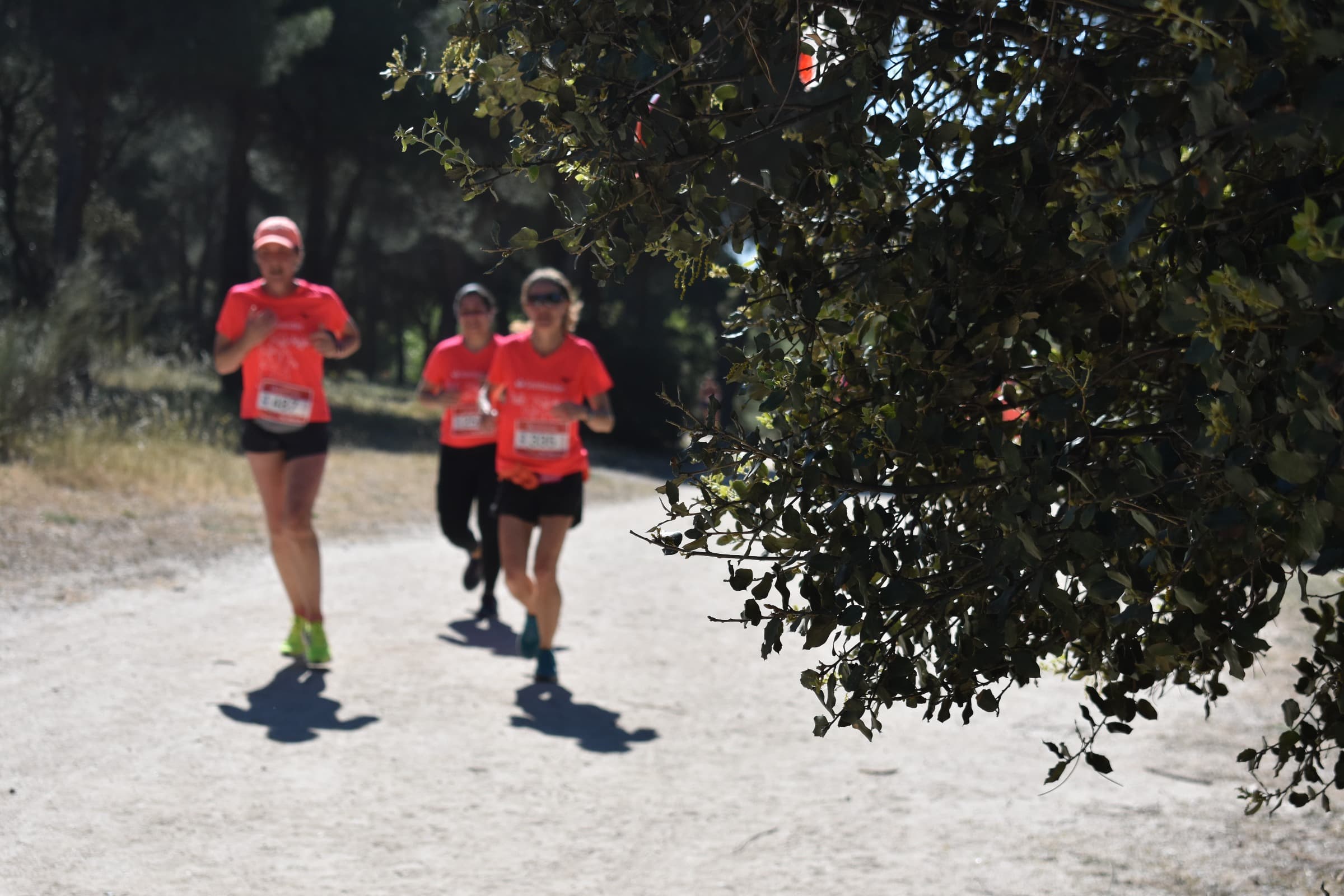 Todas las fotos del Trail de la Mujer 2023.