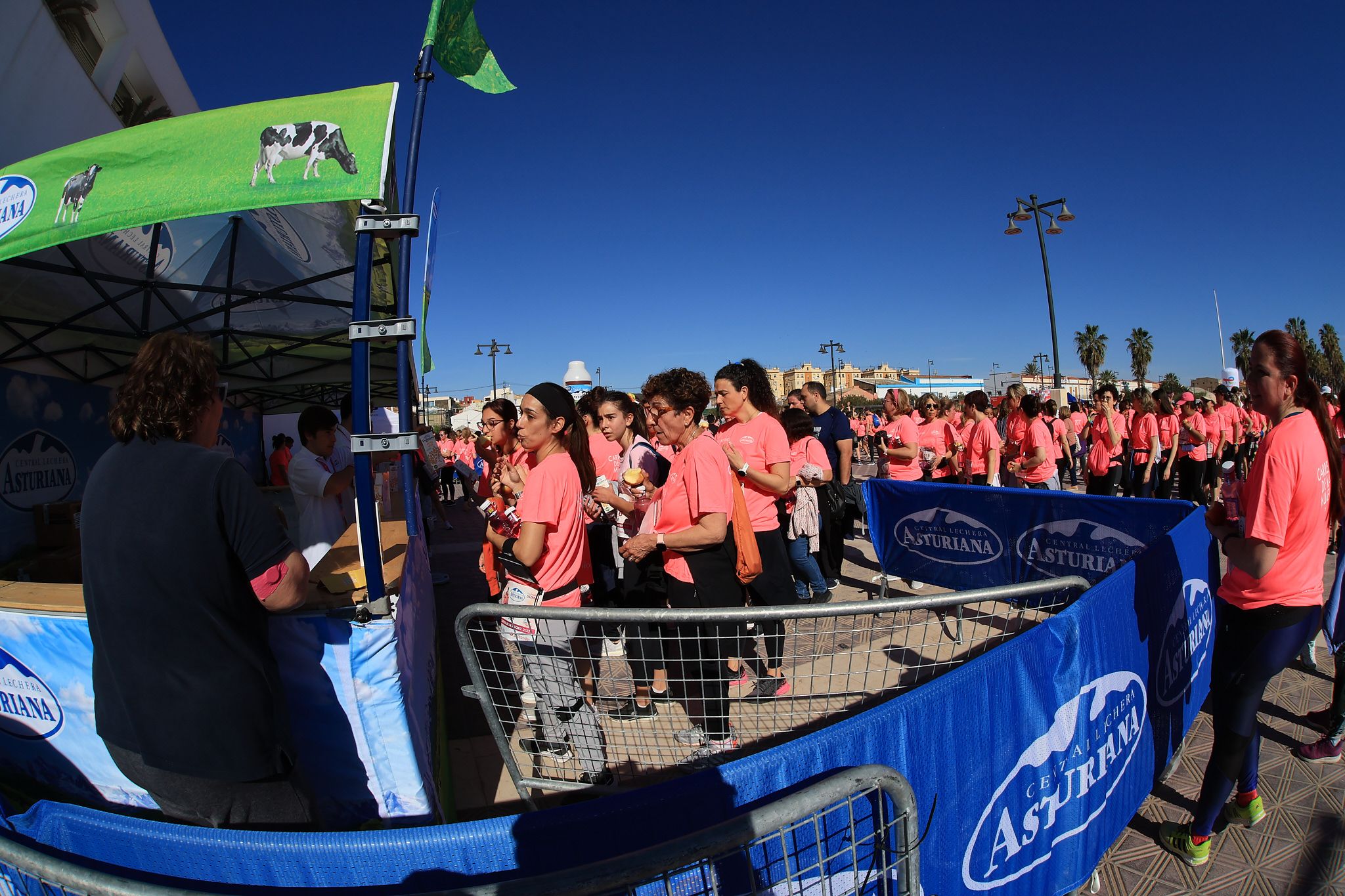 Las mejores fotos de la Carrera de la Mujer Central Lechera Asturiana de Valencia. 0989