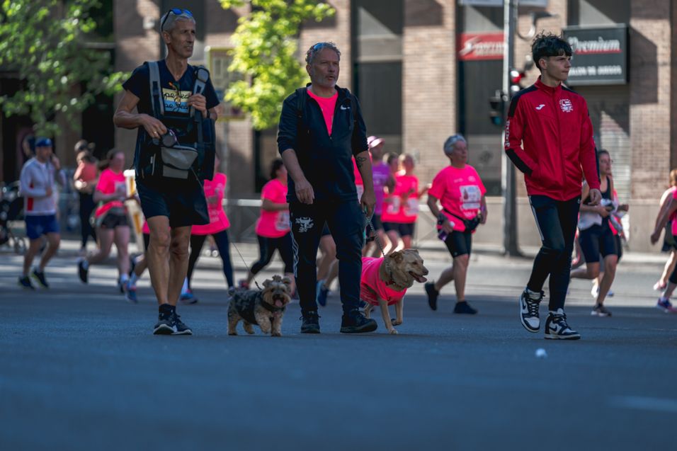 Las mejores fotos de la Carrera de la Mujer Central Lechera Asturiana de Madrid. 931 2