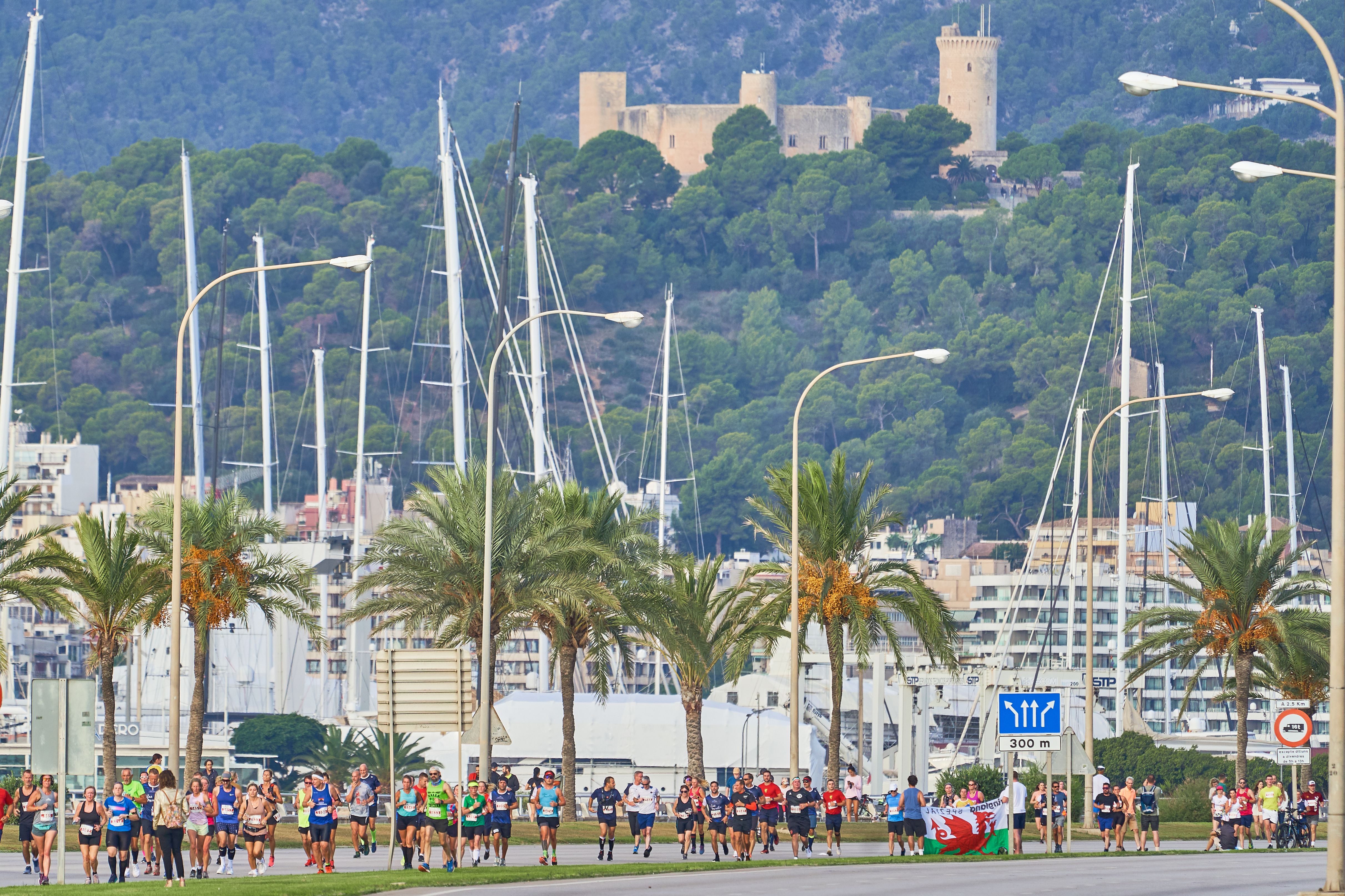 PALMA MARATHON ZPM 131 PALMA MARATHON ZPM 131
