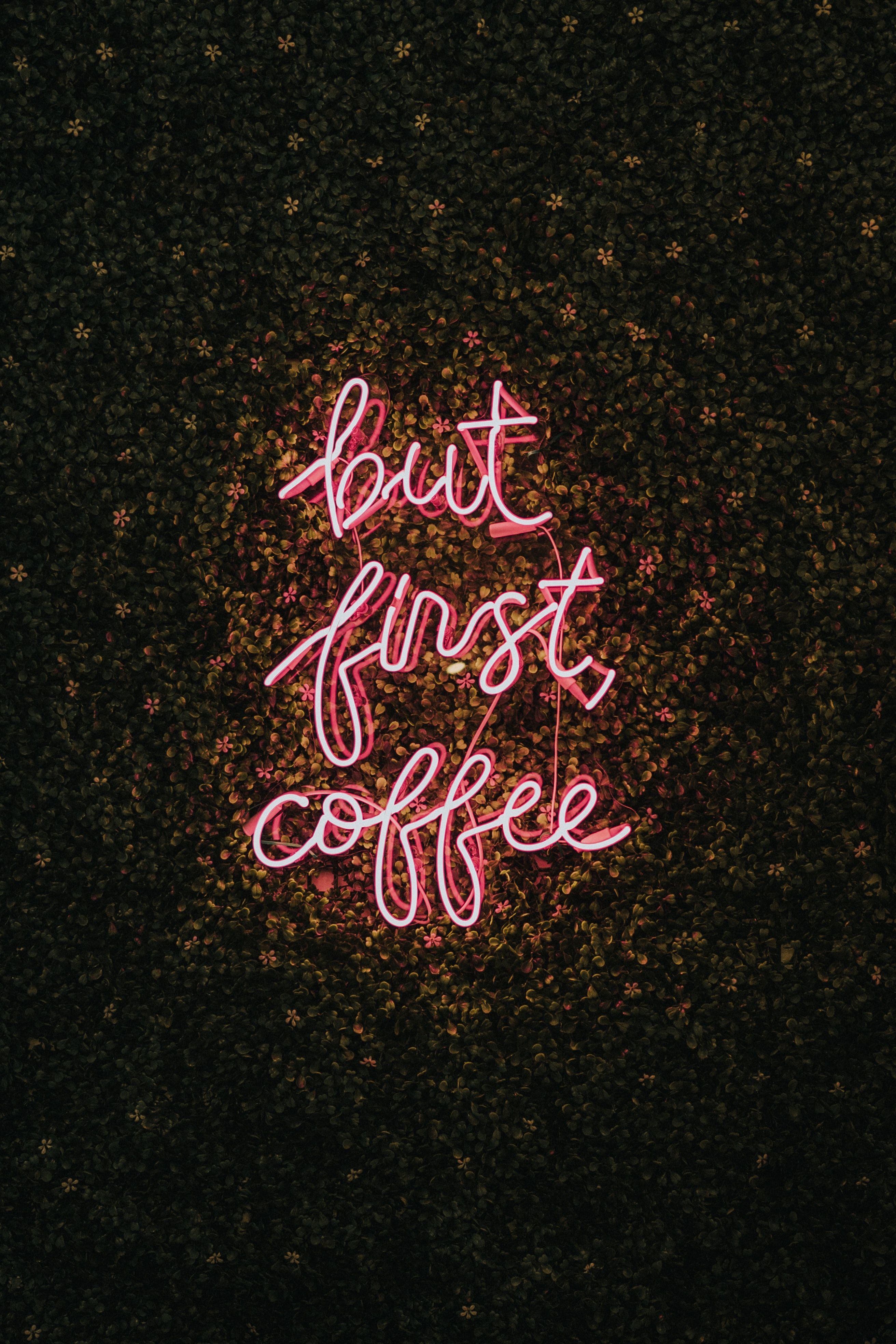 katie drazdauskaite bN35lDCllFM unsplash