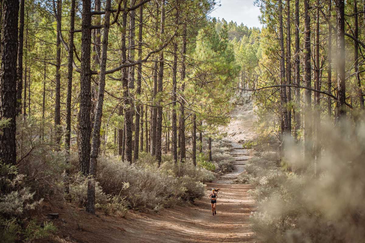 Paisajes como estos para correr y disfrutar te esperan en Gran Canaria Paisajes como estos para correr y disfrutar te esperan en Gran Canaria