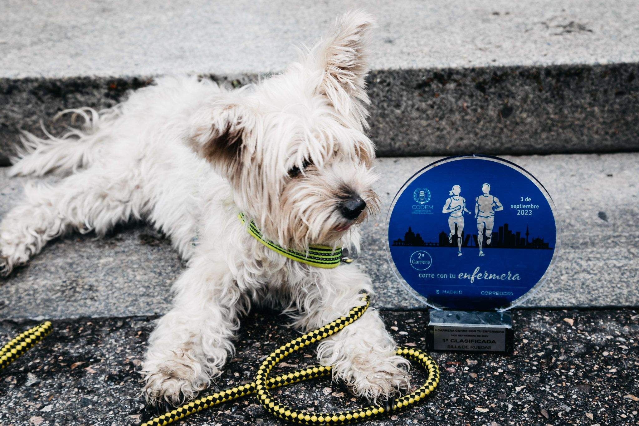 Las mejores fotos del ambiente post meta de la carrera Corre con tu Enfermera 2023. 10
