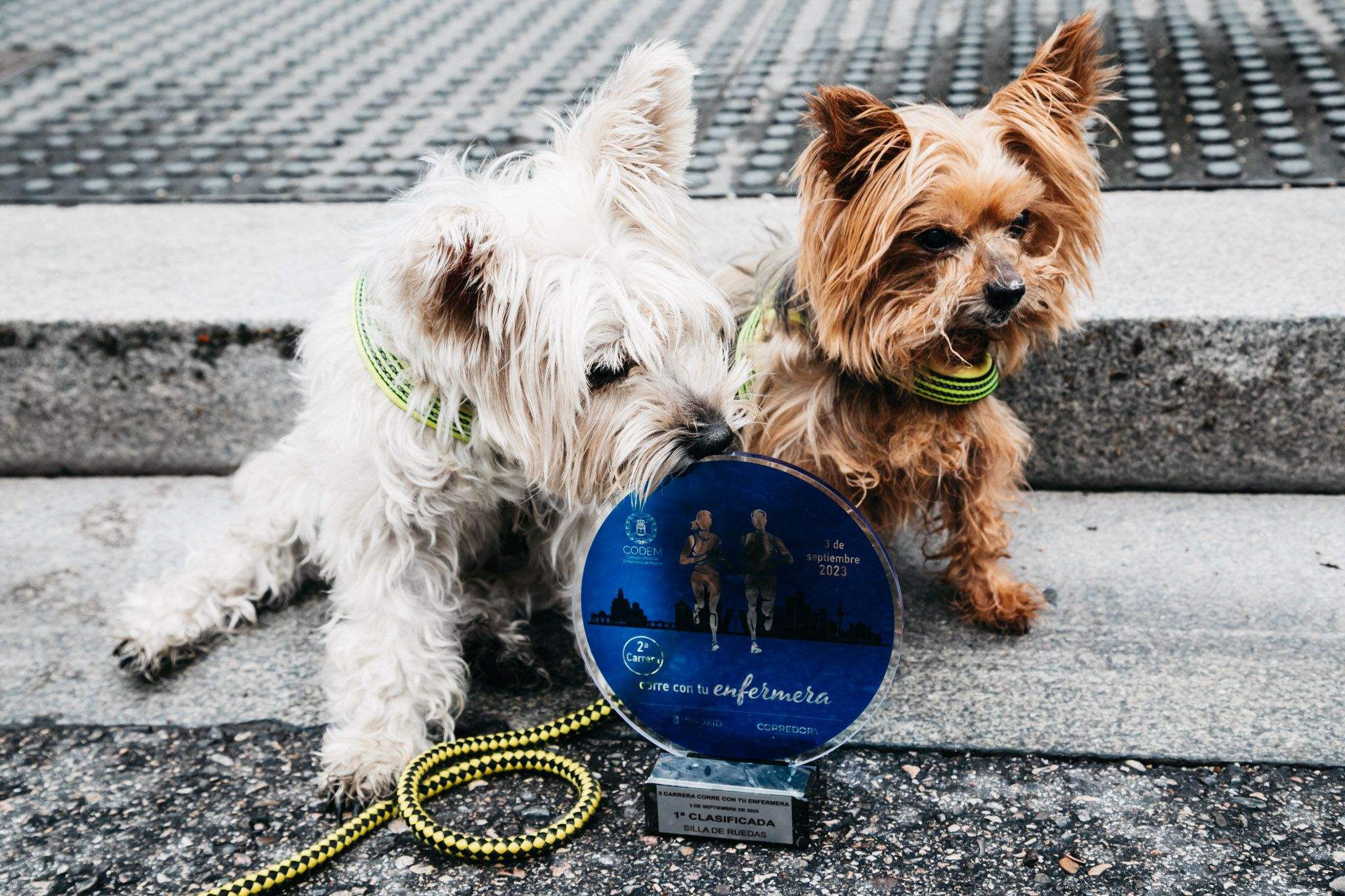 Las mejores fotos del ambiente post meta de la carrera Corre con tu Enfermera 2023. 12