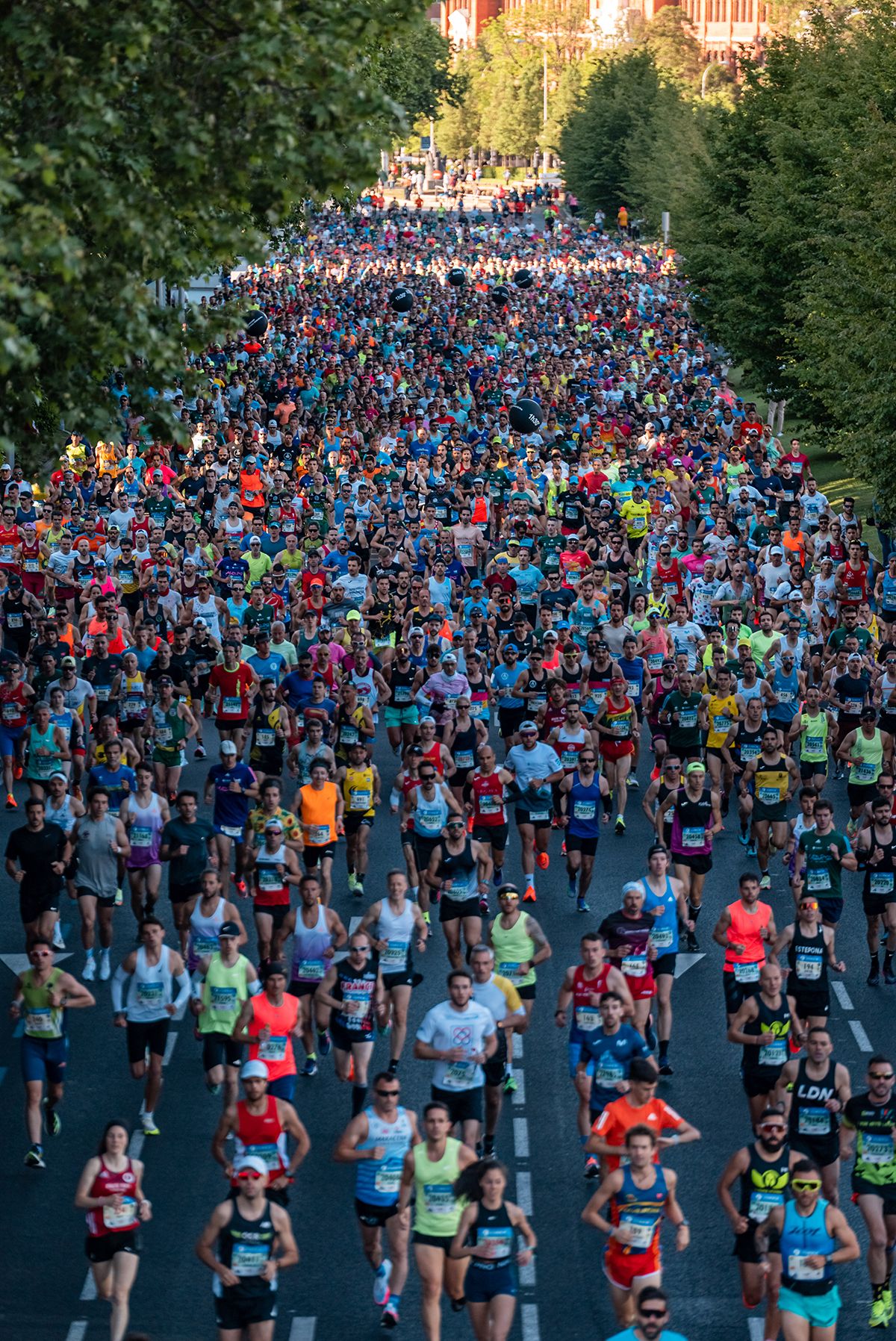 Una imagen que habla por sí sola: si nunca has disfrutado de Zurich Rock 'n' Roll Running Series Madrid... estás tardando. Una imagen que habla por sí sola: si nunca has disfrutado de Zurich Rock 'n' Roll Running Series Madrid... estás tardando.