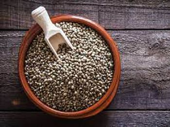 Semillas de cáñamo, fuente de proteína vegetal