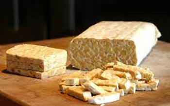 Tempeh orgánico, fuente de proteína vegetal