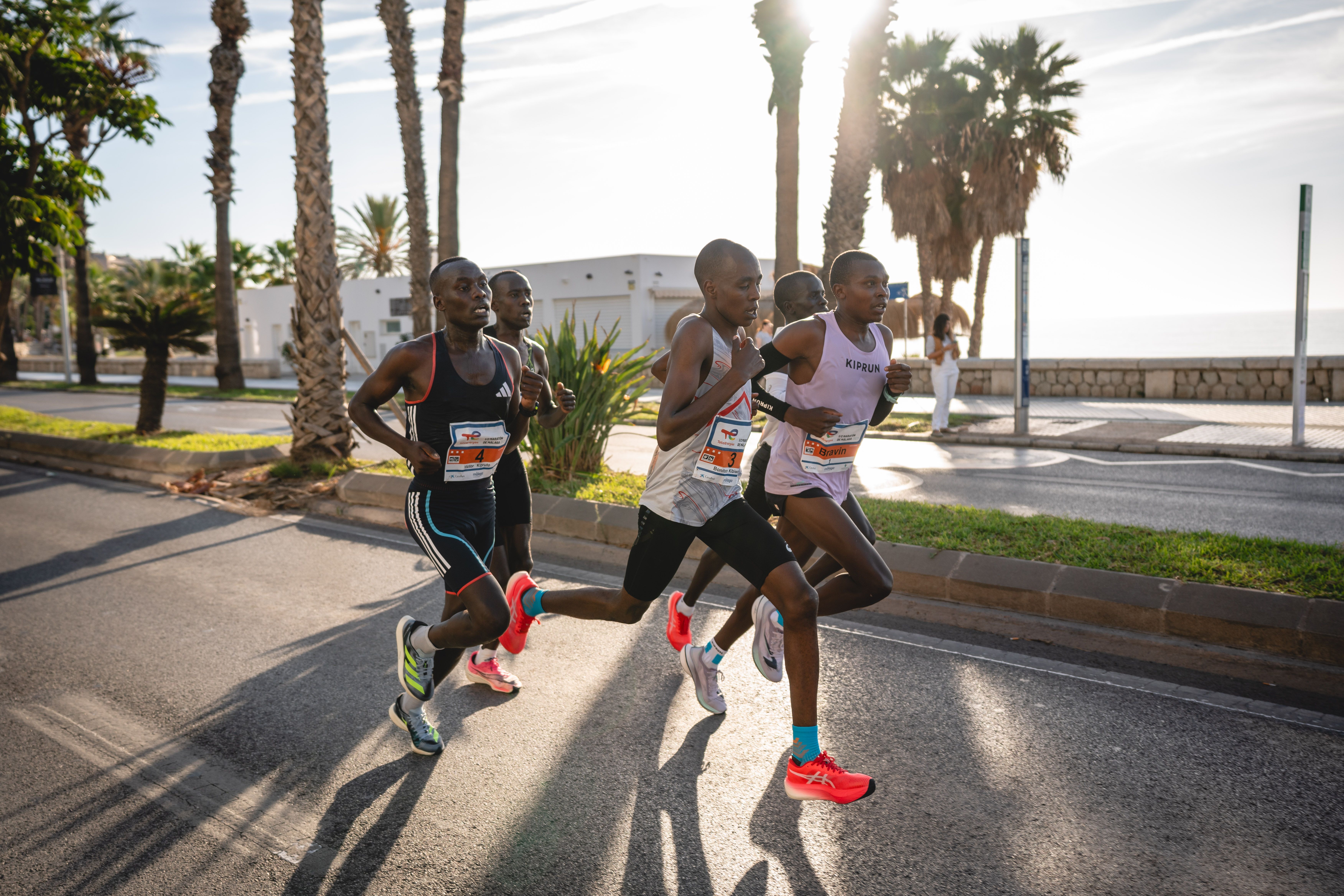 Las mejores fotos del TotalEnergies Medio Maratón de Málaga. A7408306