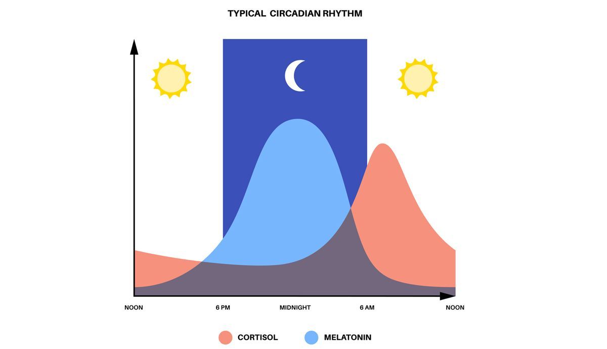 Ciclo del Sueño Vigilia y niveles de Melatonina Cortisol Ciclo del Sueño Vigilia y niveles de Melatonina Cortisol