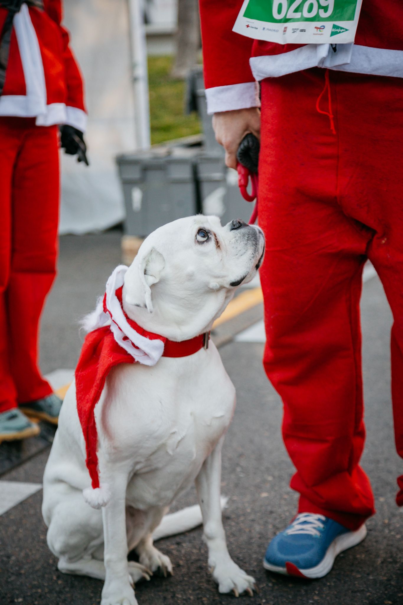 Las 50 mejores fotos de la Carrera de Papá Noel El Corte Inglés 2023. 10