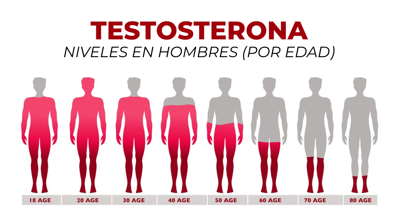 ¿Cuáles son las posibles causas para tener bajos niveles de testosterona? 2 ¿Cuáles son las posibles causas para tener bajos niveles de testosterona? 2