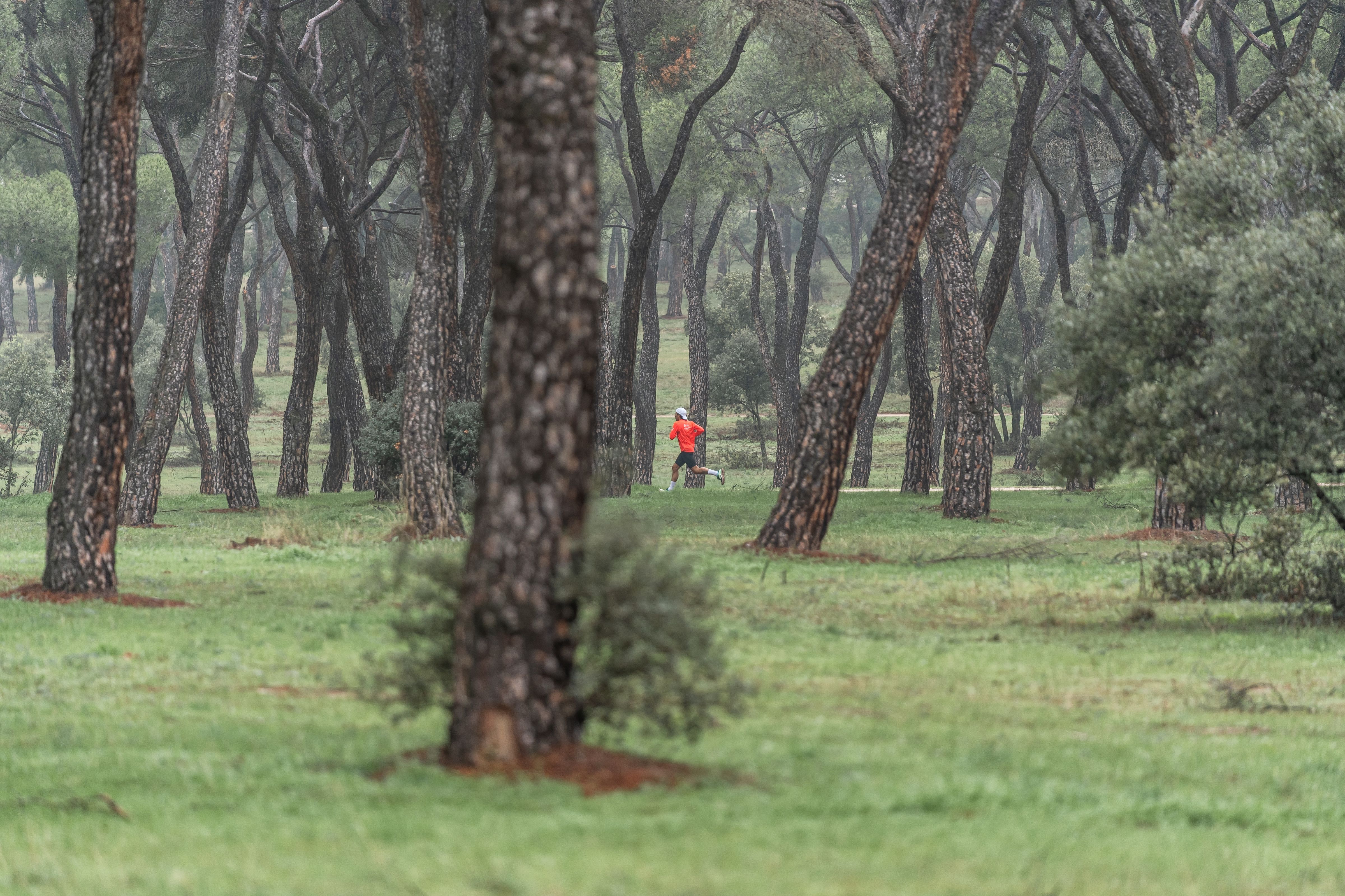 Te presentamos 20 razones para empezar a correr y no dejarlo nunca. VSM PHOTOEVENTS.