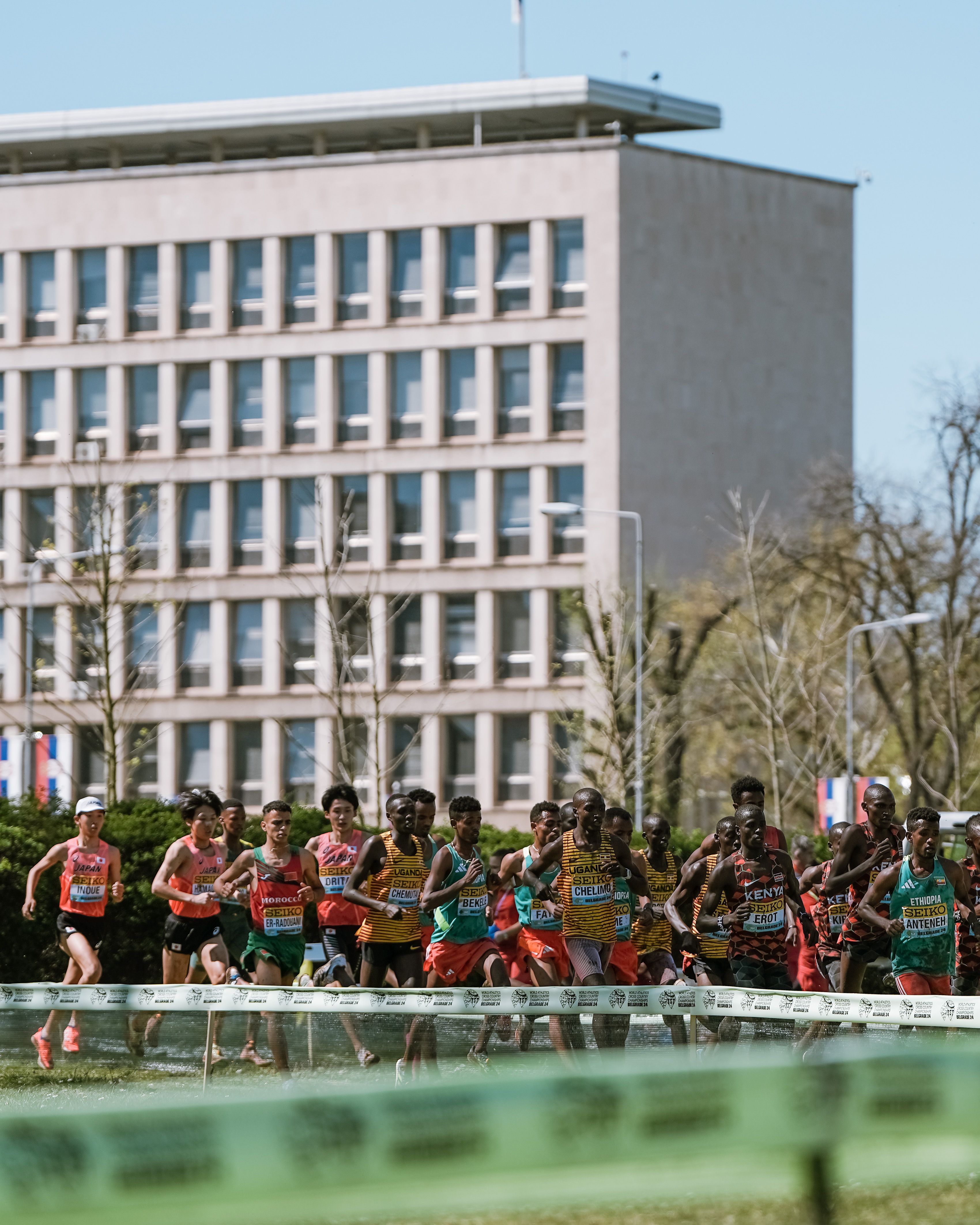 Una imagen de la carrera Sub 20 masculina en el Campeonato del Mundo de Cross de Belgrado. SPORTMEDIA.