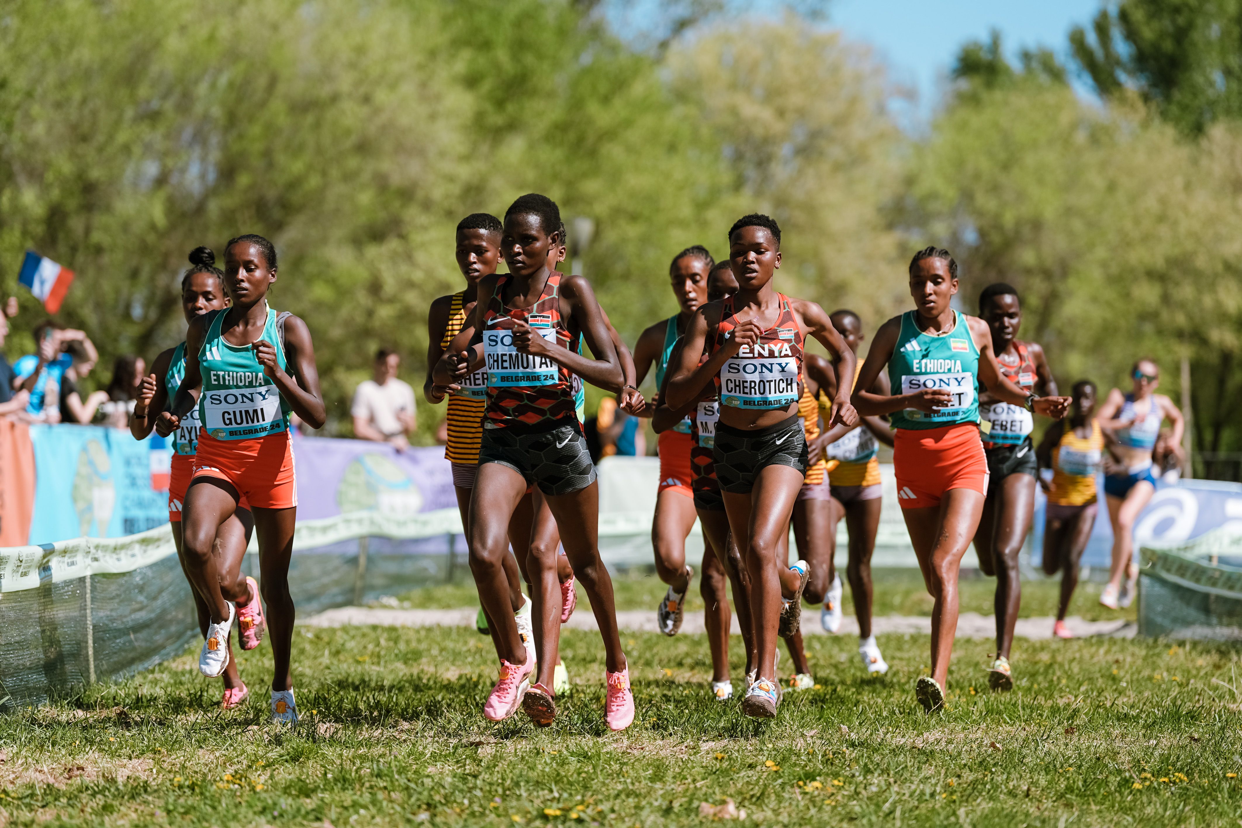 Una imagen de la carrera Sub 20 femenina del Campeonato del Mundo de Cross de Belgrado. SPORTMEDIA.