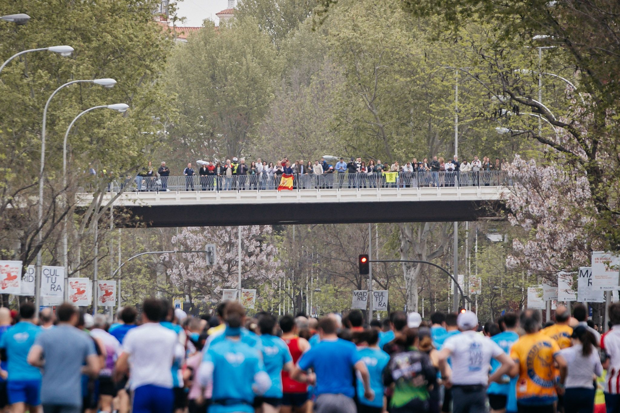 Las mejores fotos del Movistar Madrid Medio Maratón 2024. 15