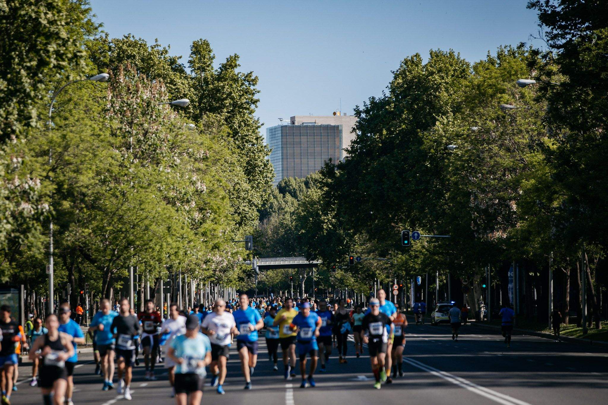 Las mejores fotos de Colón de la Carrera Bomberos de Madrid DÉCIMAS 2024. 246
