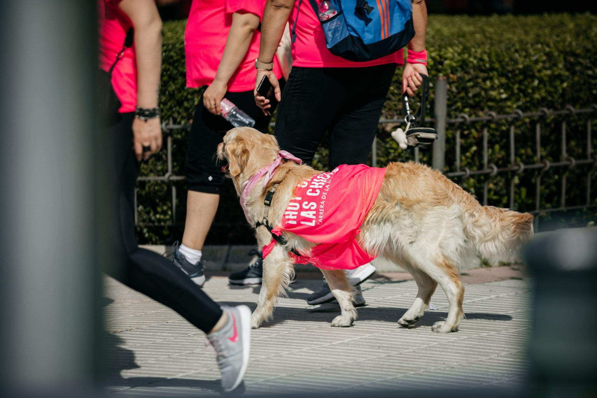 Las mejores fotos del ambiente post de la Carrera de la Mujer Central Lechera Asturiana de Madrid 2024. 271