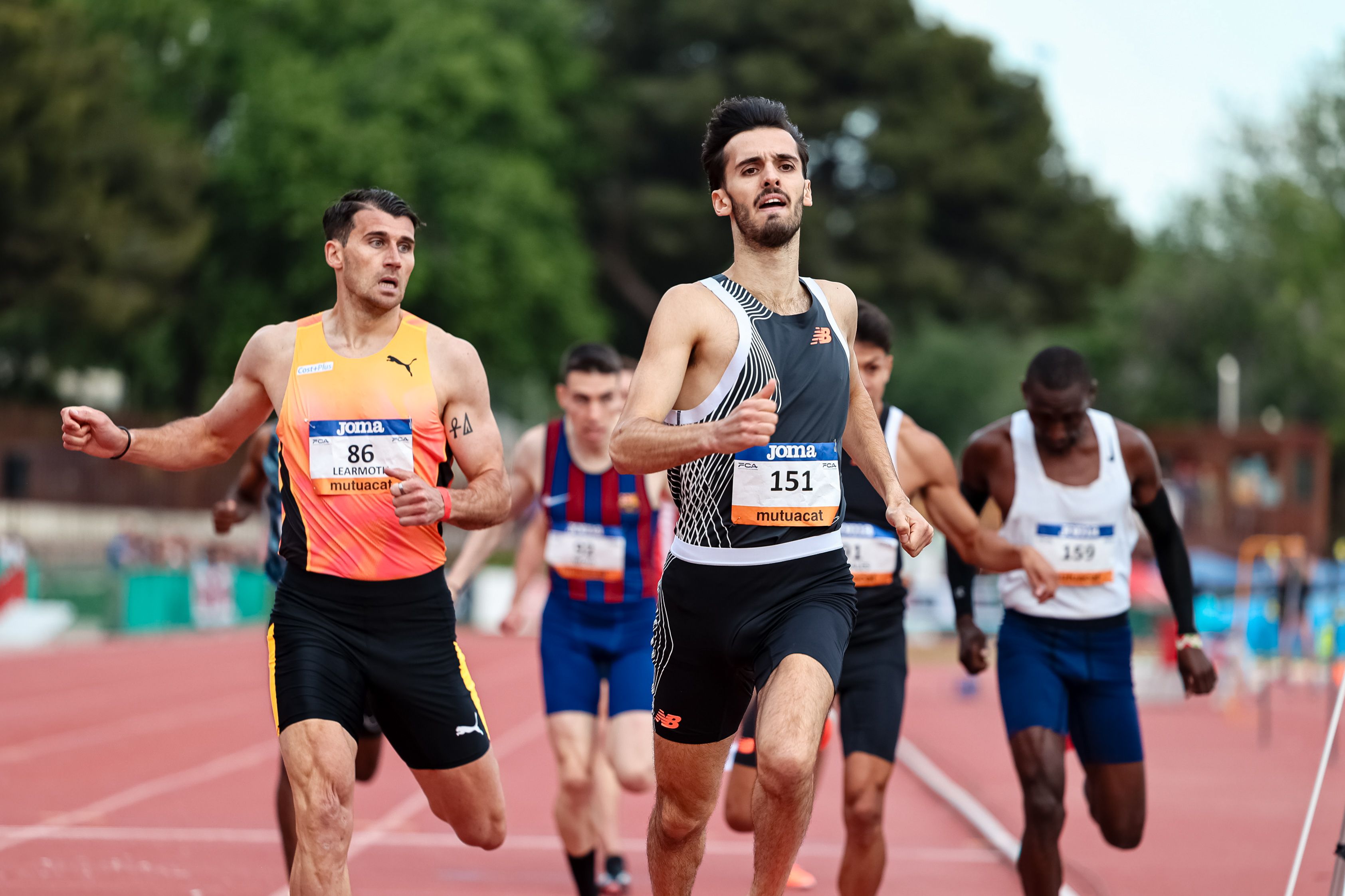 La llegada de los 800 metros en categoría masculina del Mitin Internacional Ciudad de Barcelona.