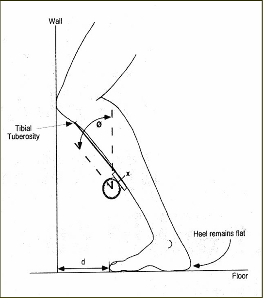 lunge test4 lunge test4