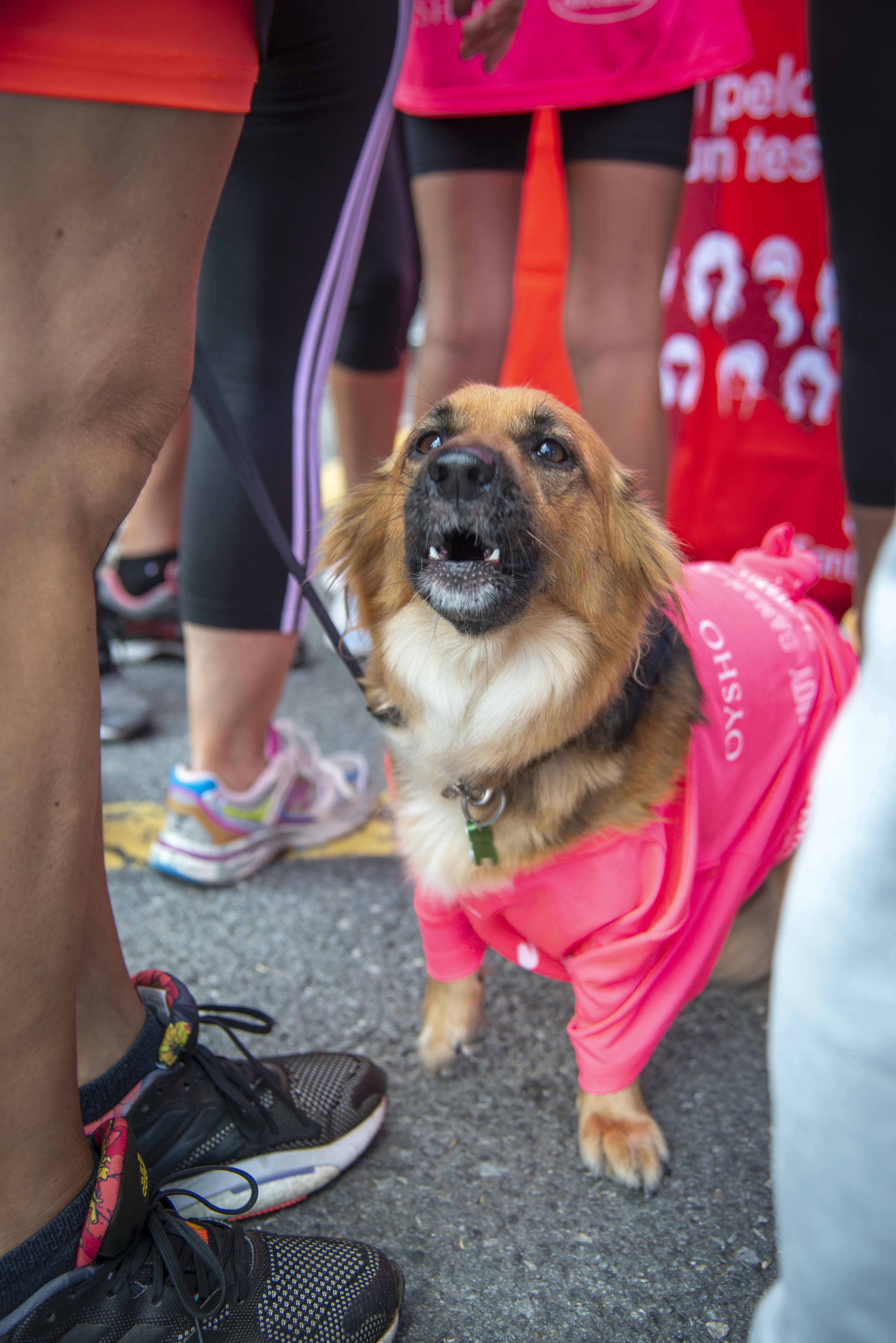 Las mejores fotos de la Carrera de la Mujer de A Coruña 2024.  DSC3759 LR