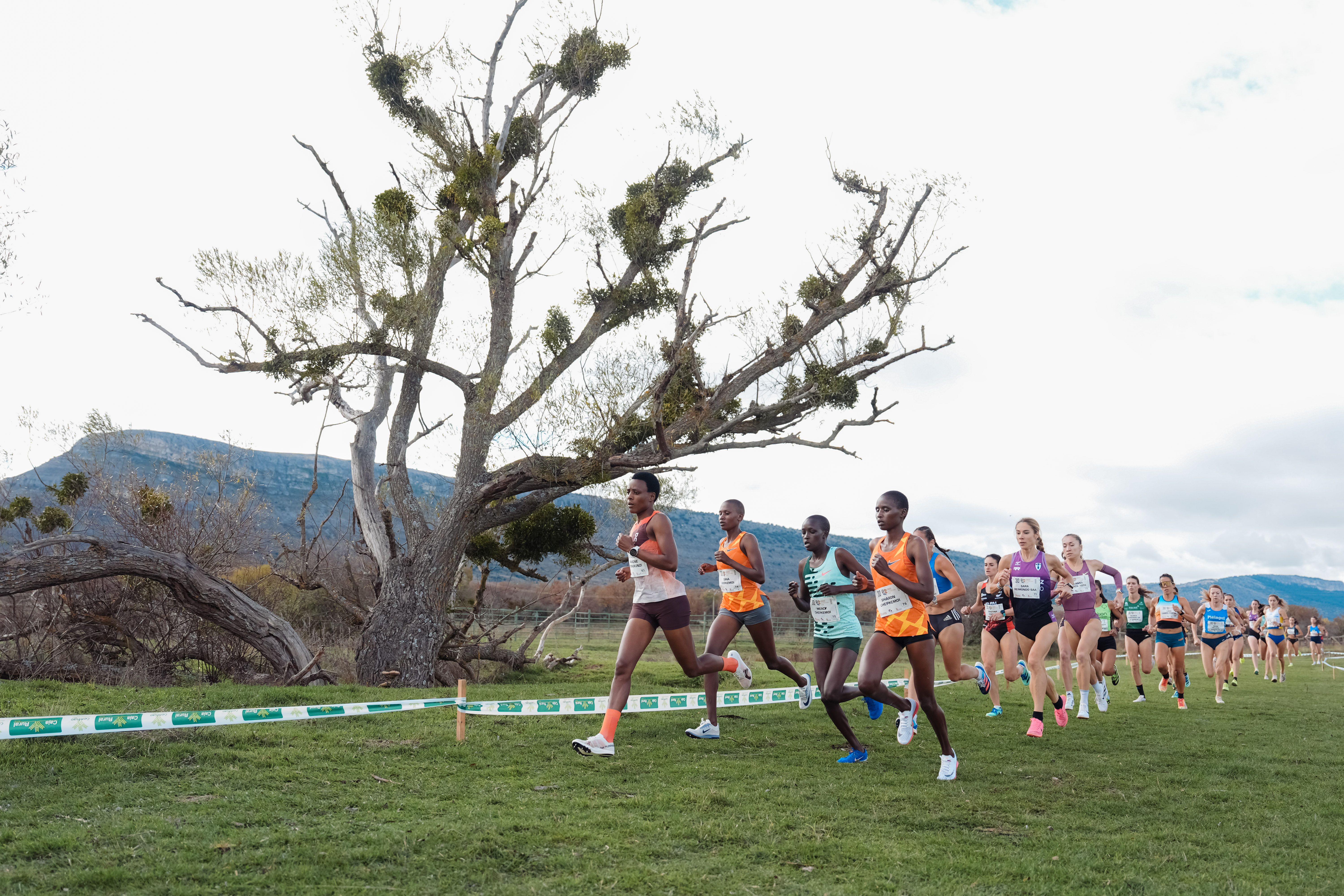 Las mejores fotos del Cross de Soria 2024. SPORTMEDIA. 5