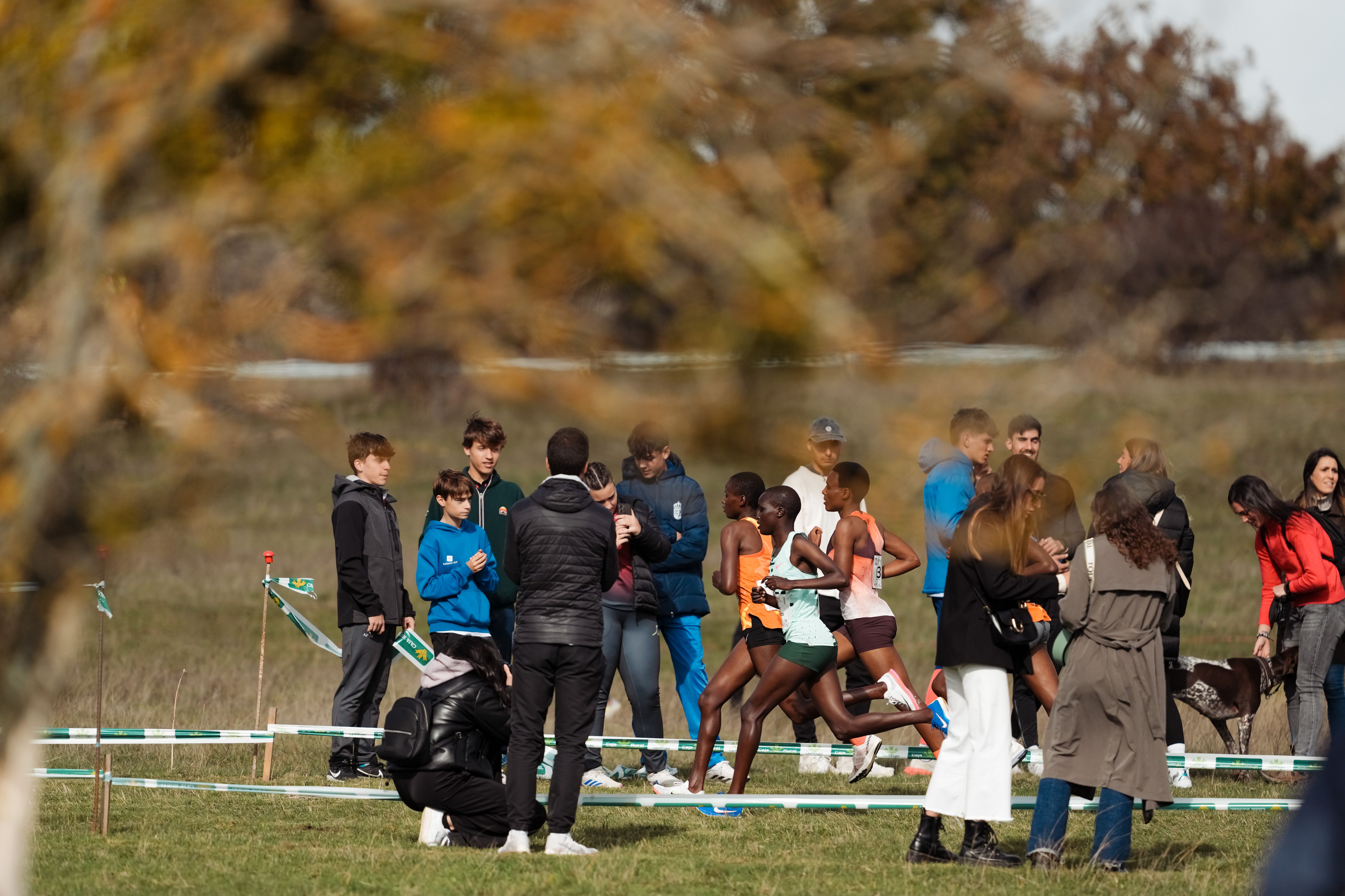 Las mejores fotos del Cross de Soria 2024. SPORTMEDIA. 7