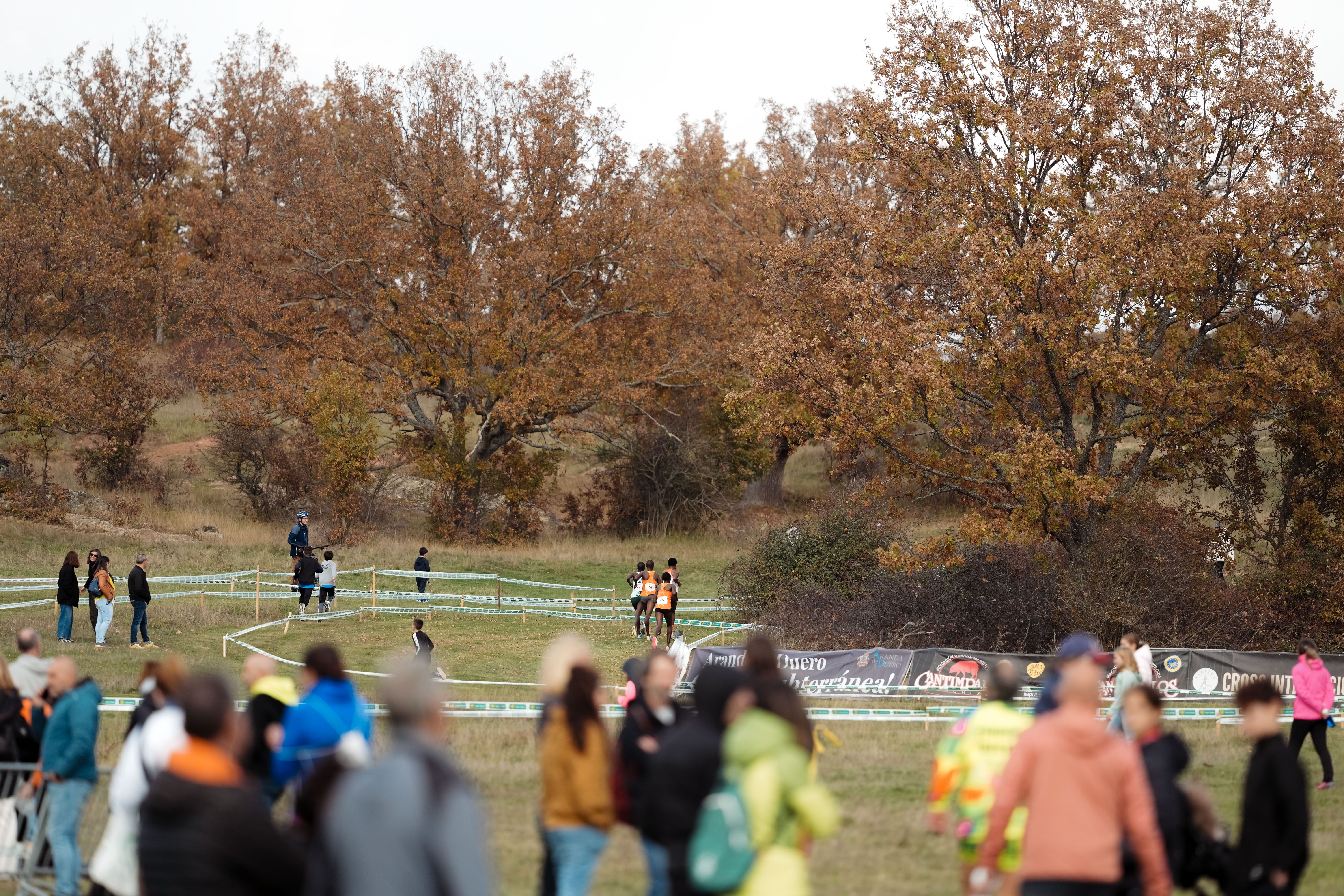 Las mejores fotos del Cross de Soria 2024. SPORTMEDIA. 9