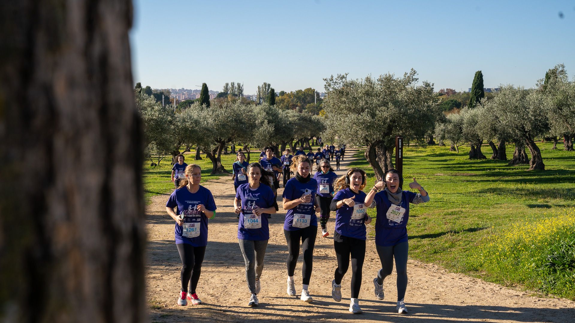 El domingo 24 de noviembre el Parque Juan Carlos I de Madrid disfrutará una nueva edición de la Carrera de las Ciudades Contra el Cáncer de Páncreas. LAST LAP
