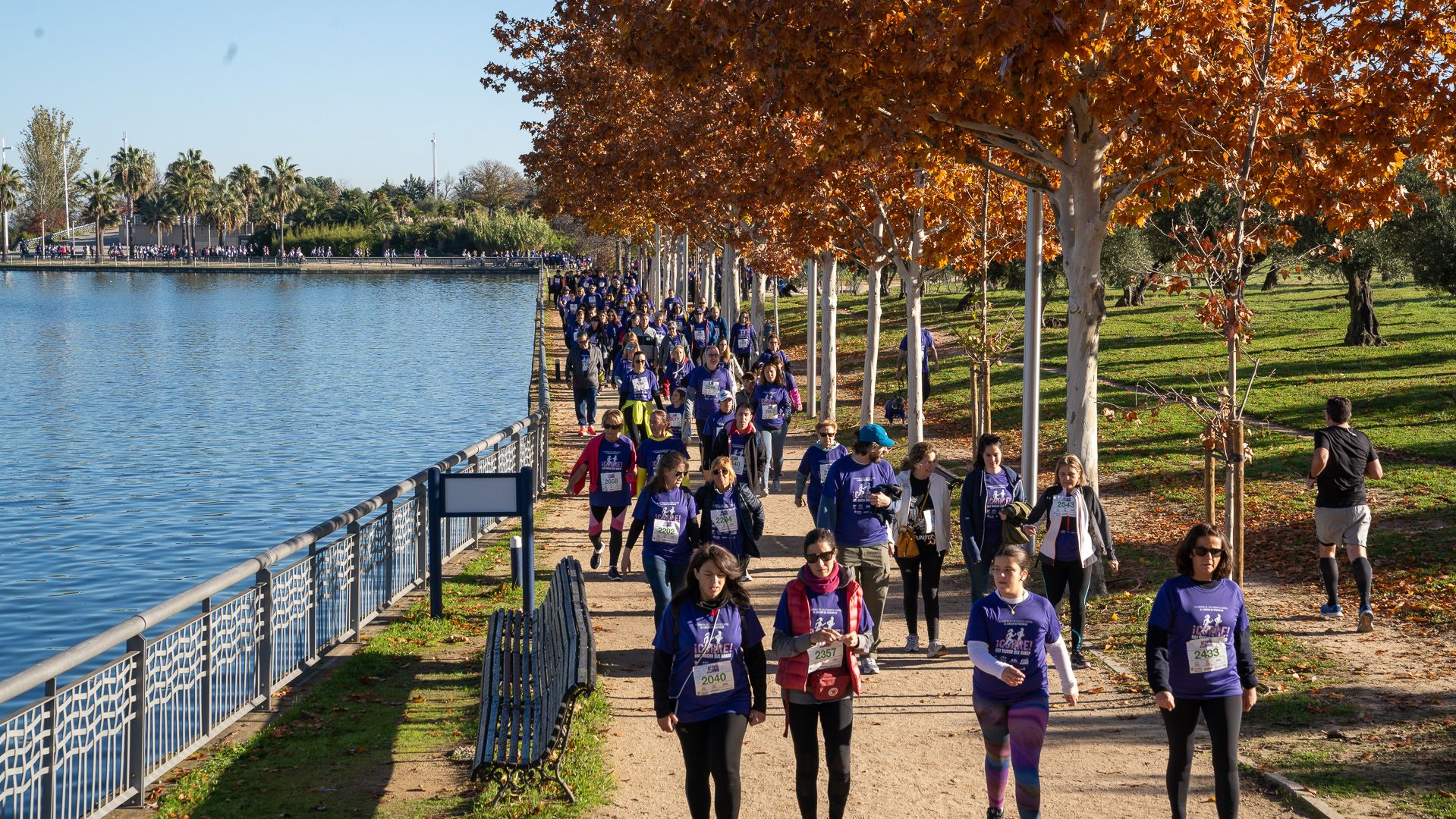 Si no puedes o no te apetece correr, también puedes caminar en la Carrera de las Ciudades Contra el Cáncer de Páncreas. Si no puedes o no te apetece correr, también puedes caminar en la Carrera de las Ciudades Contra el Cáncer de Páncreas.